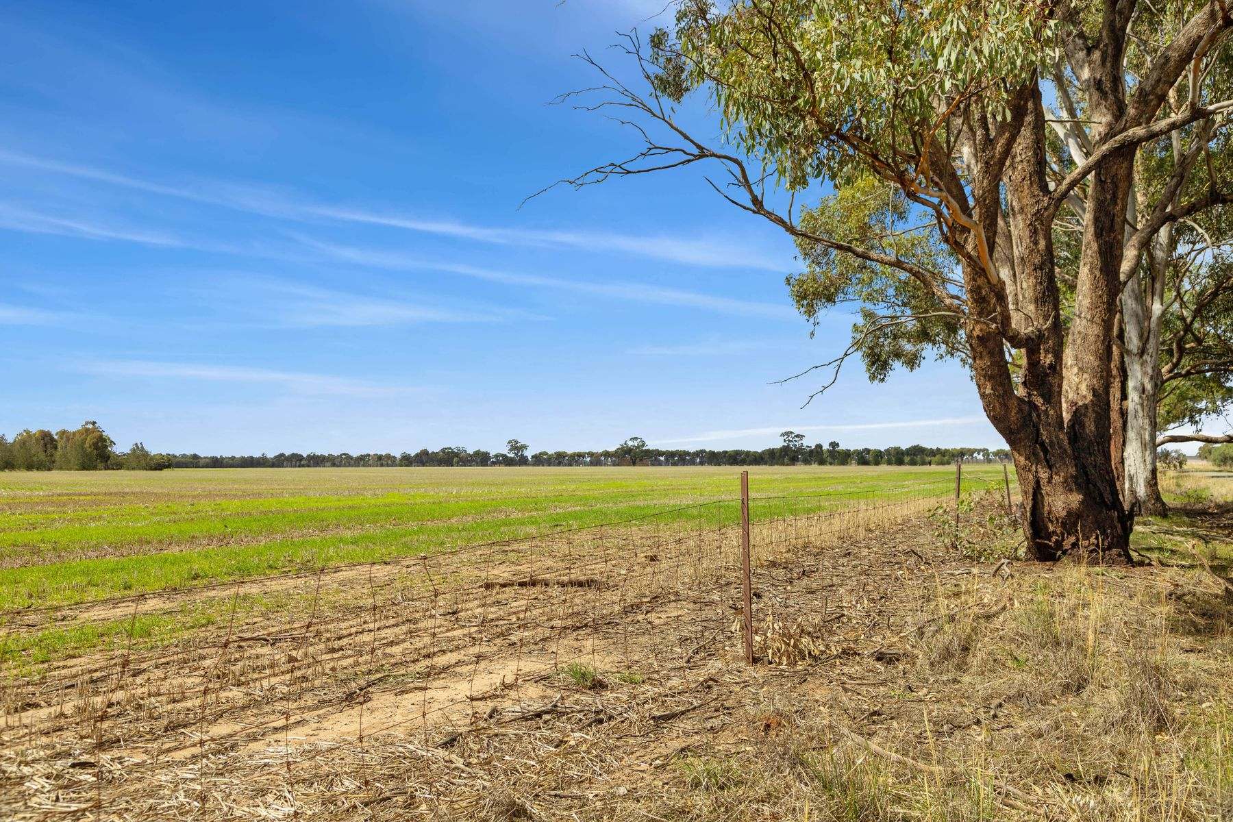CA 57B Elmore-Minto Road, Elmore For Sale by Farmbuy.com - image 6