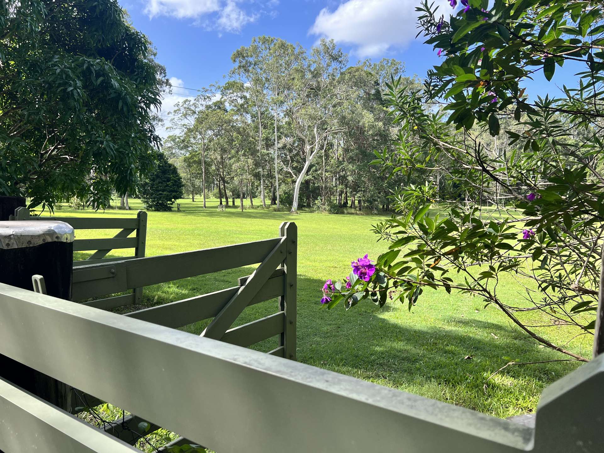239 Dath Henderson Road, Tinbeerwah Sold by Farmbuy.com - image 29
