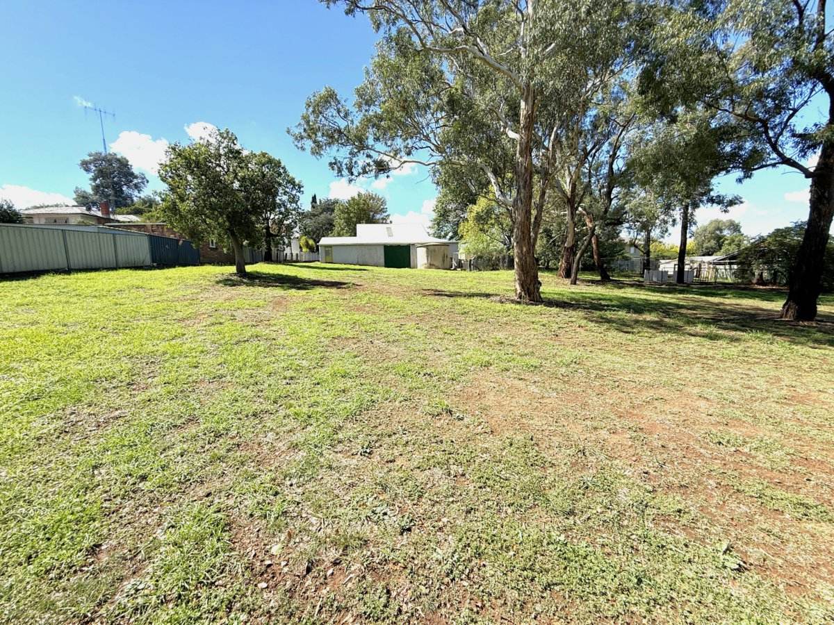 43 Elizabeth Street, Young Sold by Farmbuy.com - image 2