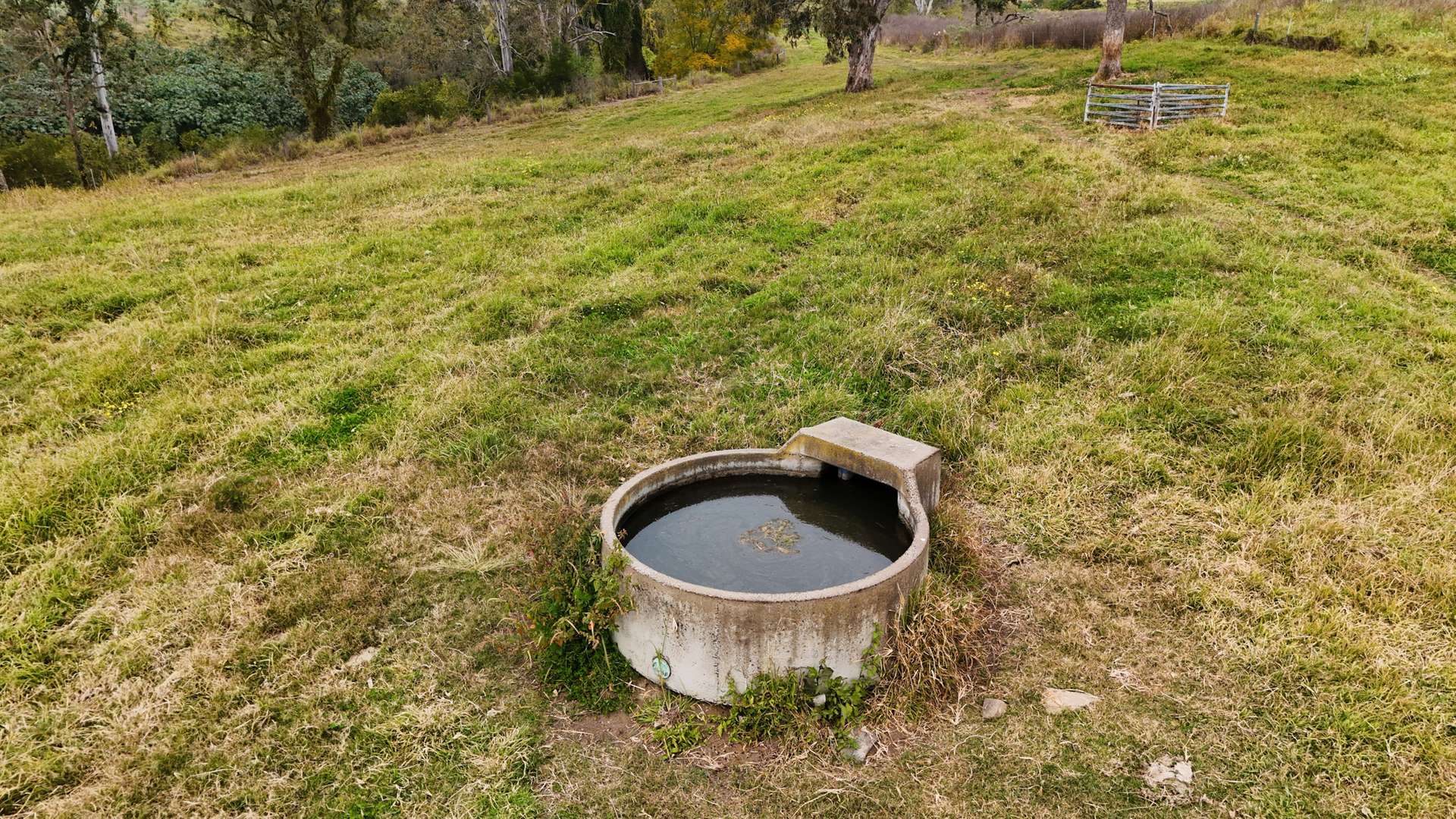 288 Round Mountain Road, Laravale For Sale by Farmbuy.com - image 10