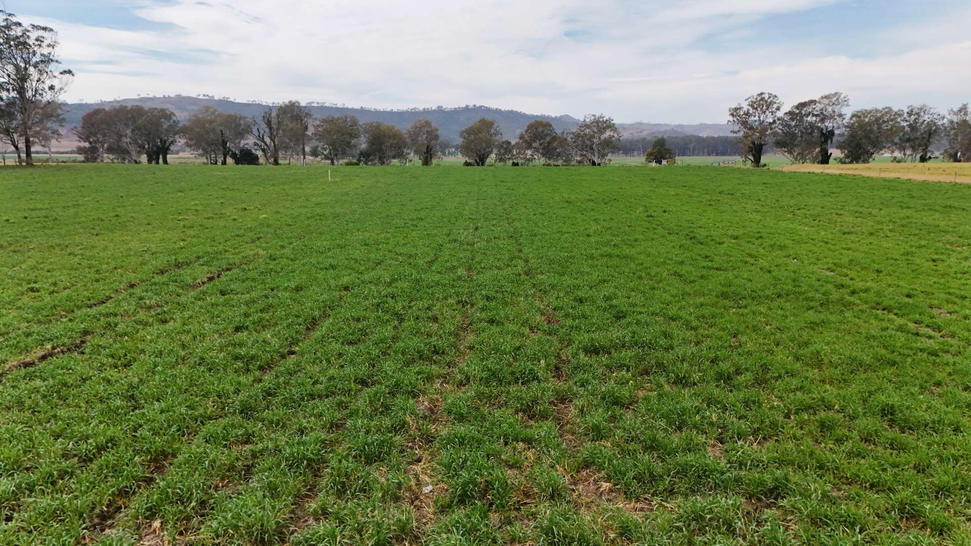288 Round Mountain Road, Laravale For Sale by Farmbuy.com - image 6