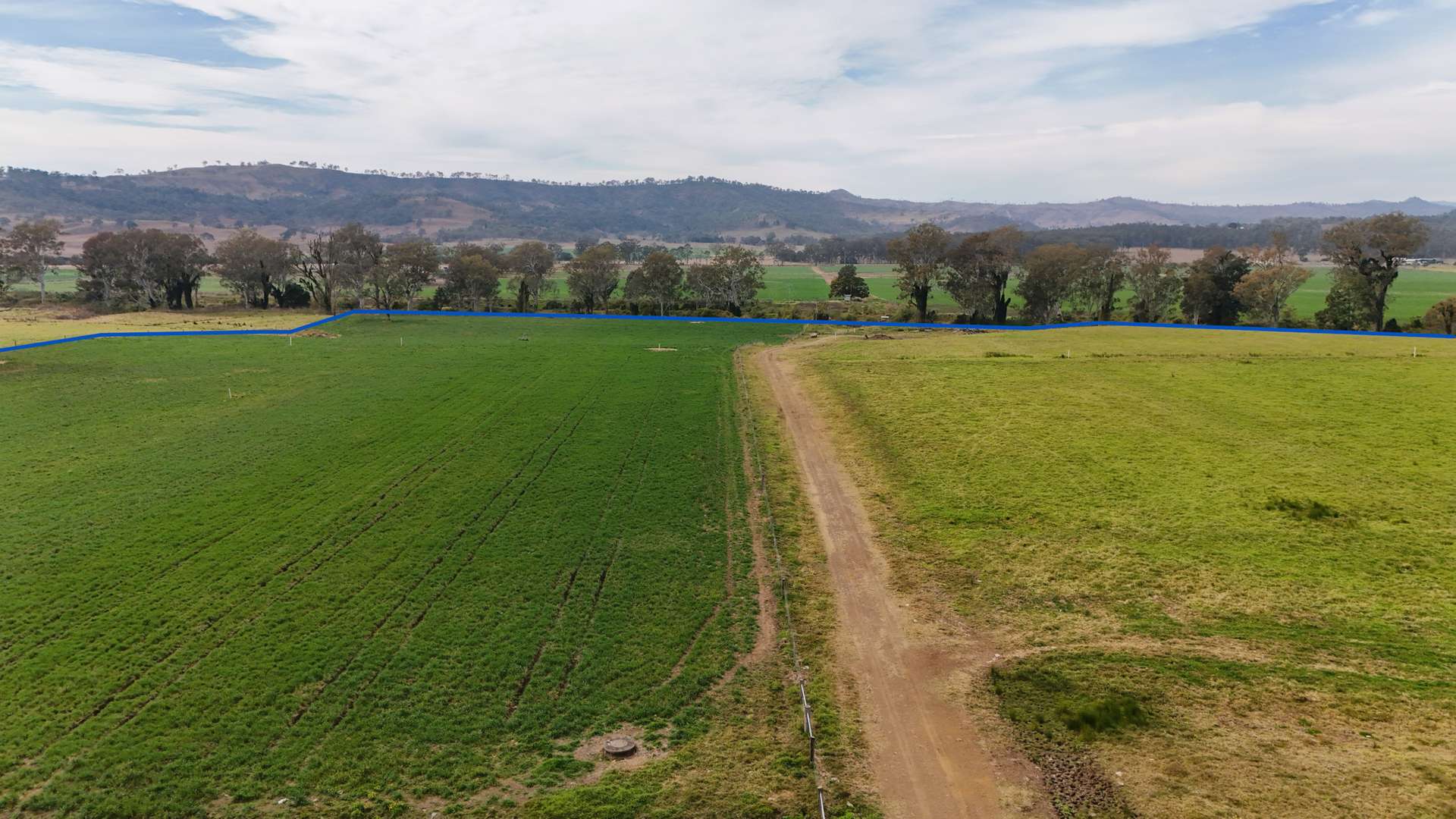 288 Round Mountain Road, Laravale For Sale by Farmbuy.com - image 7