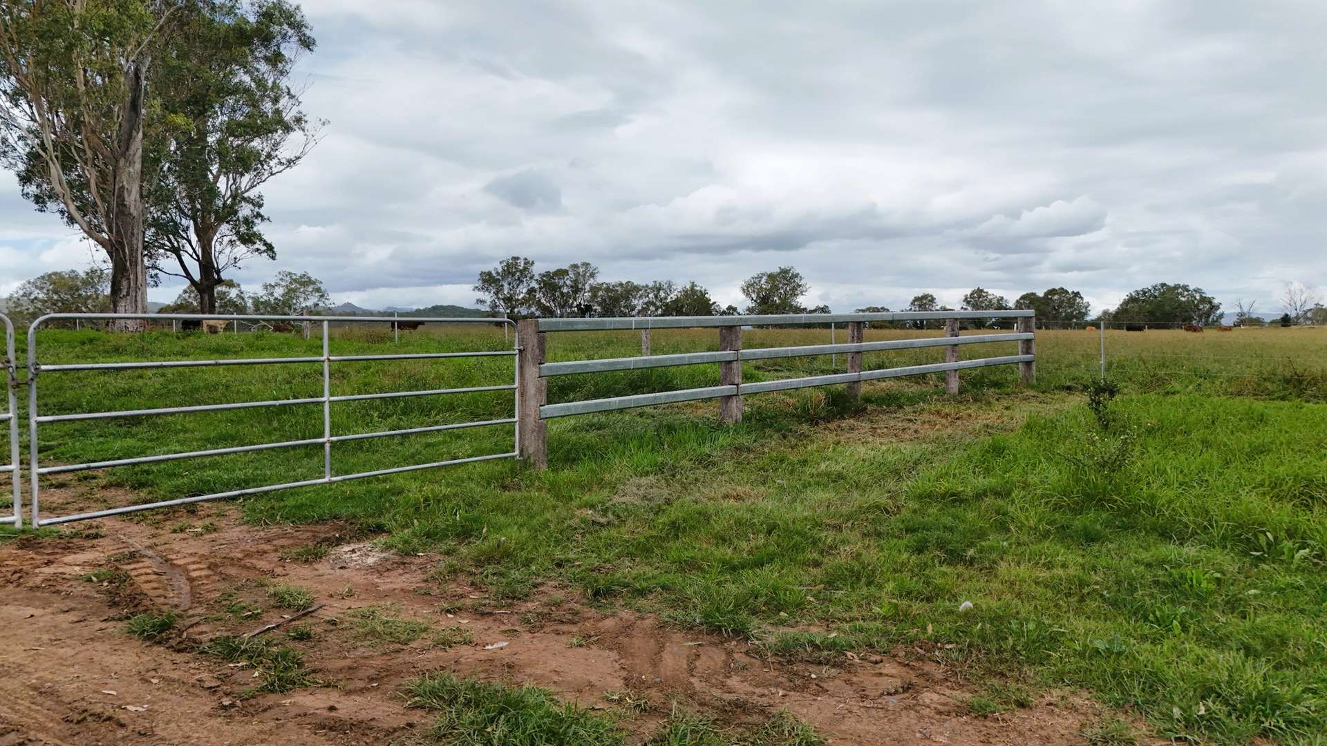Lot Holding 2, 288 Round Mountain Road, Laravale For Sale by Farmbuy.com - image 5