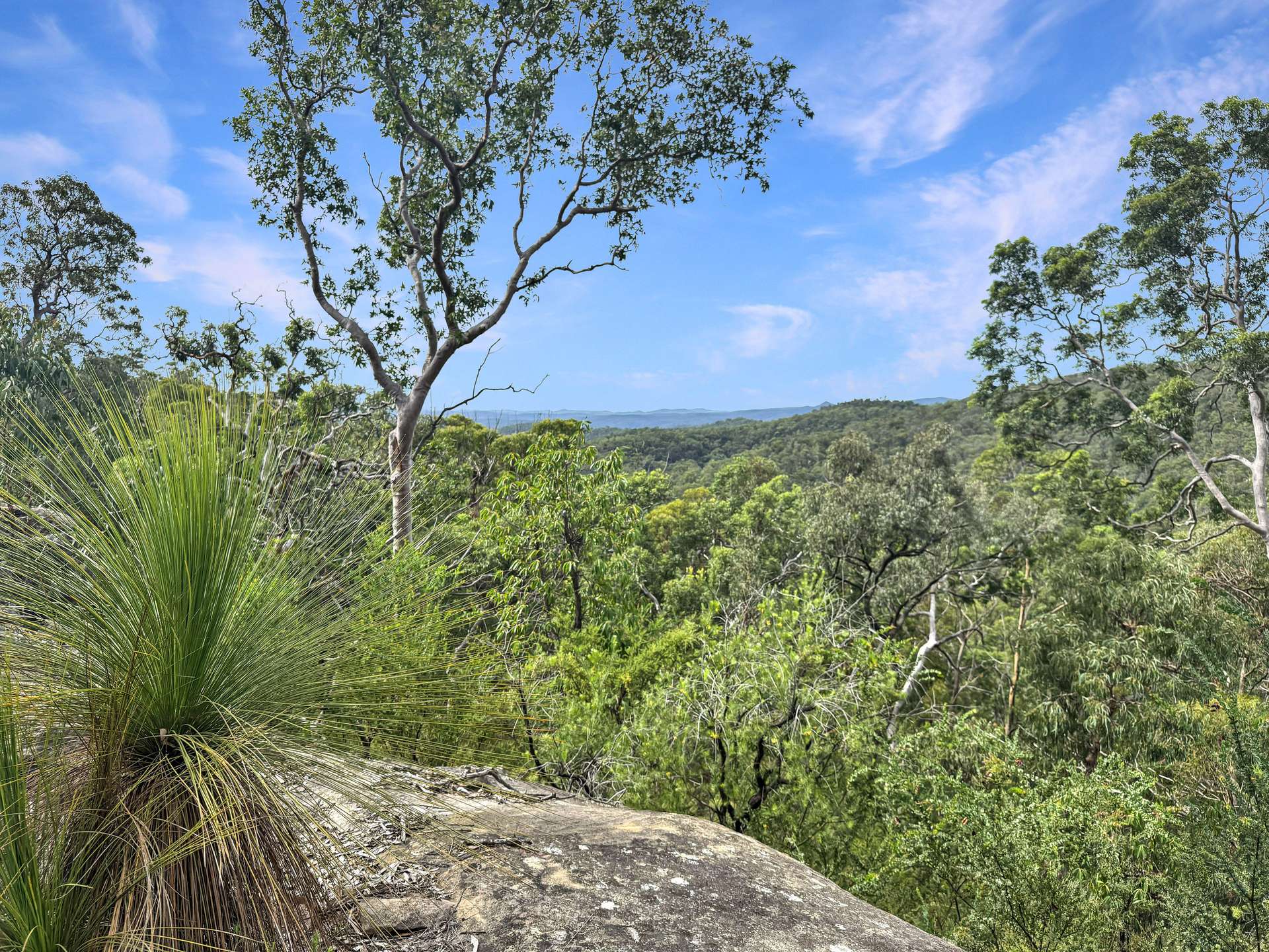 112 Finchley Track, Laguna Sold by Farmbuy.com - image 1
