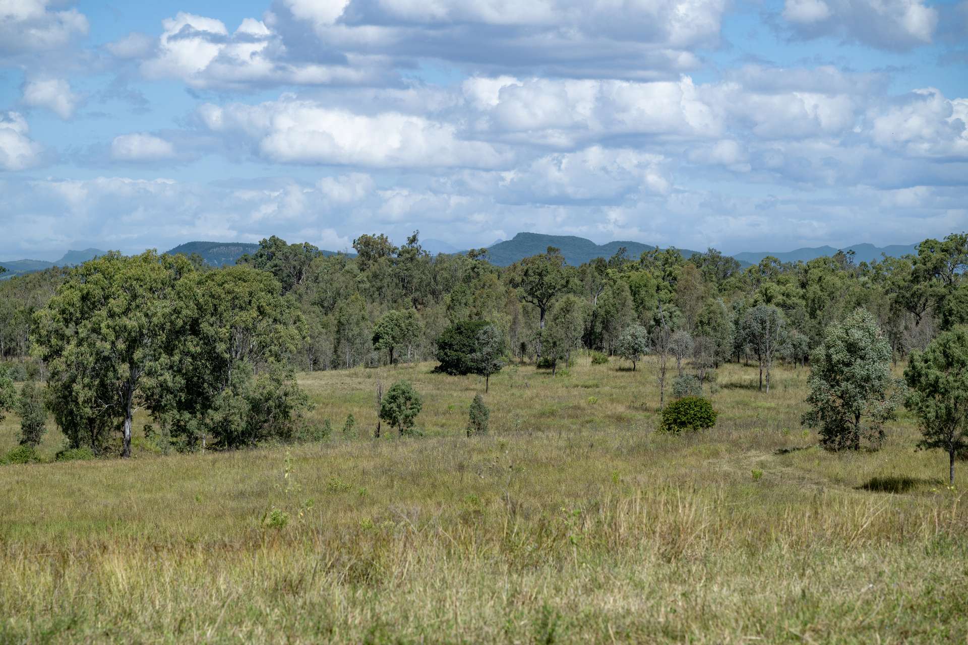 2584 Rosewood-Warrill View Road, Coleyville For Sale by Farmbuy.com - image 13