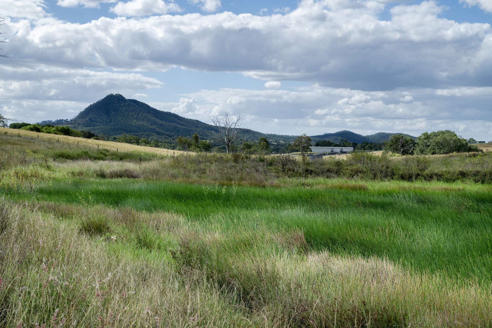 2584 Rosewood-Warrill View Road, Coleyville For Sale by Farmbuy.com - image 15