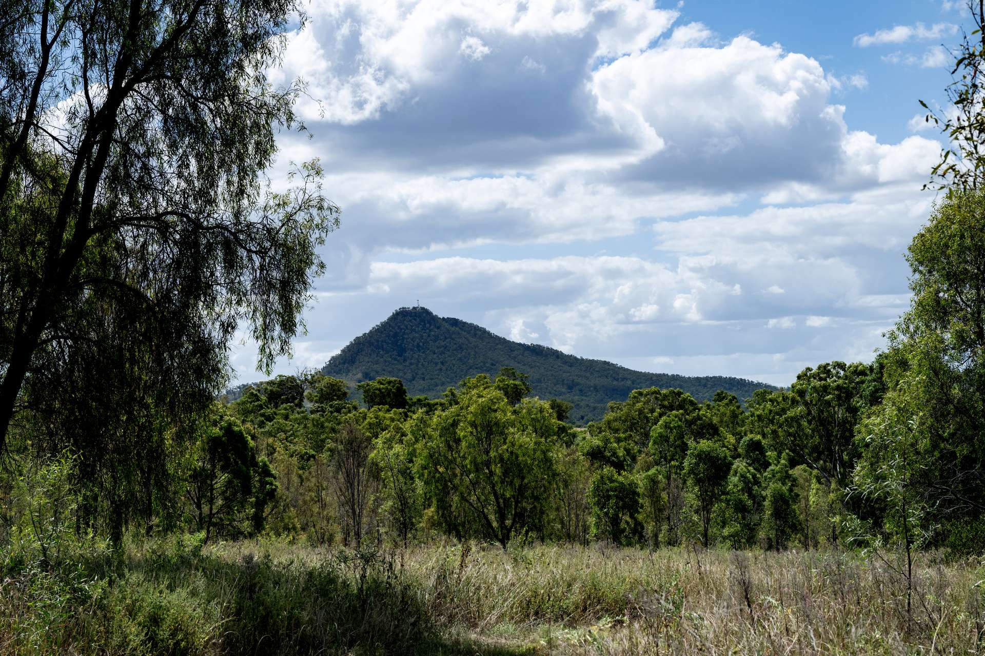 2584 Rosewood-Warrill View Road, Coleyville For Sale by Farmbuy.com - image 12