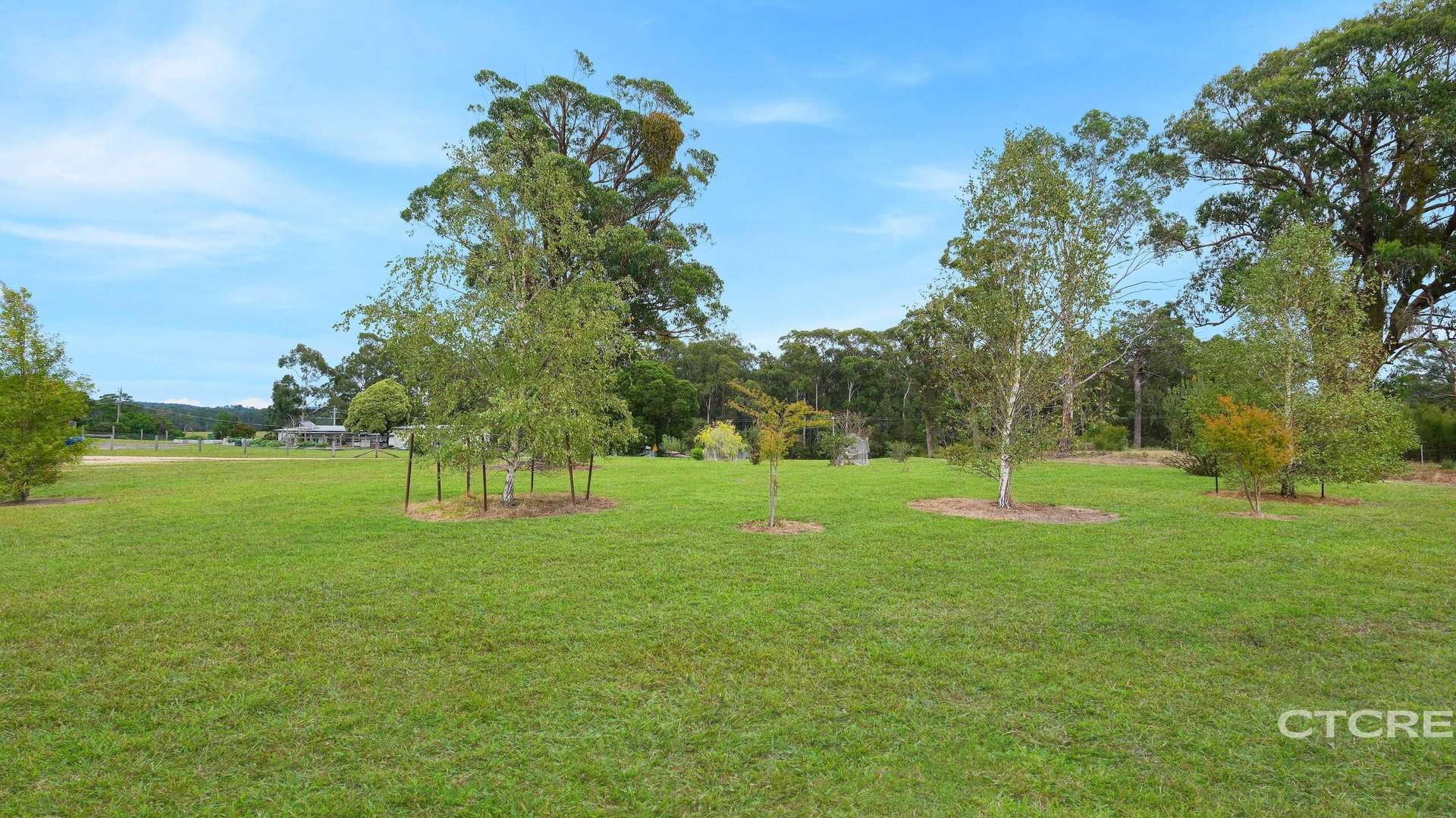 177 Tamboon Road, Cann River For Sale by Farmbuy.com - image 10