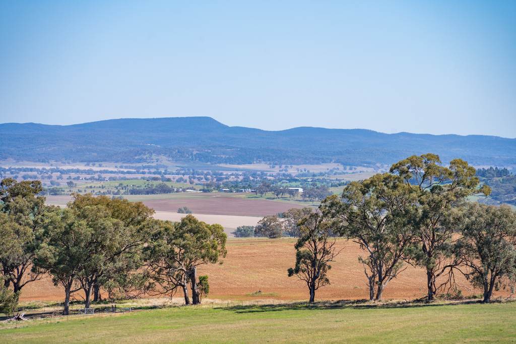 306 Moola Road, Canowindra NSW 2804