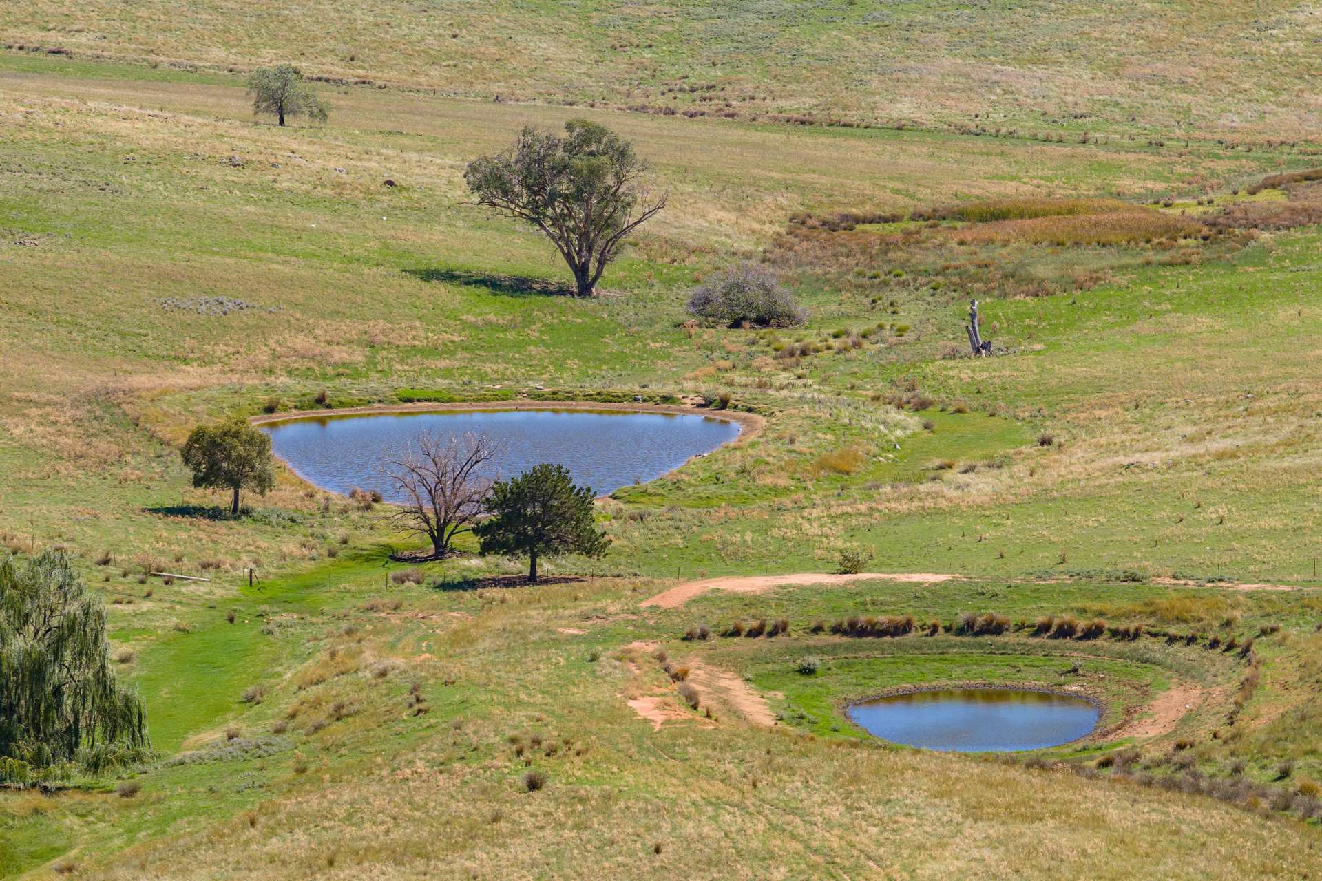 306 Moola Road, Canowindra For Sale by Farmbuy.com - image 20