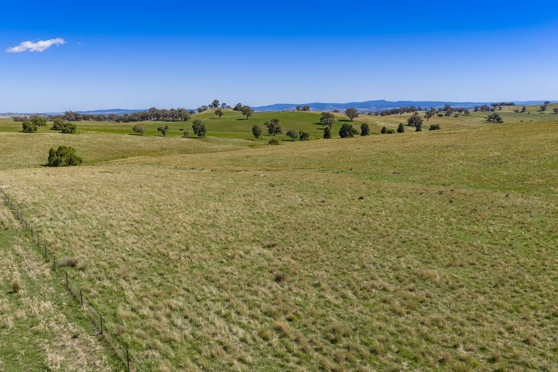 306 Moola Road, Canowindra For Sale by Farmbuy.com - image 4