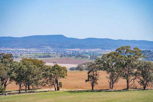 306 Moola Road, Canowindra NSW 2804