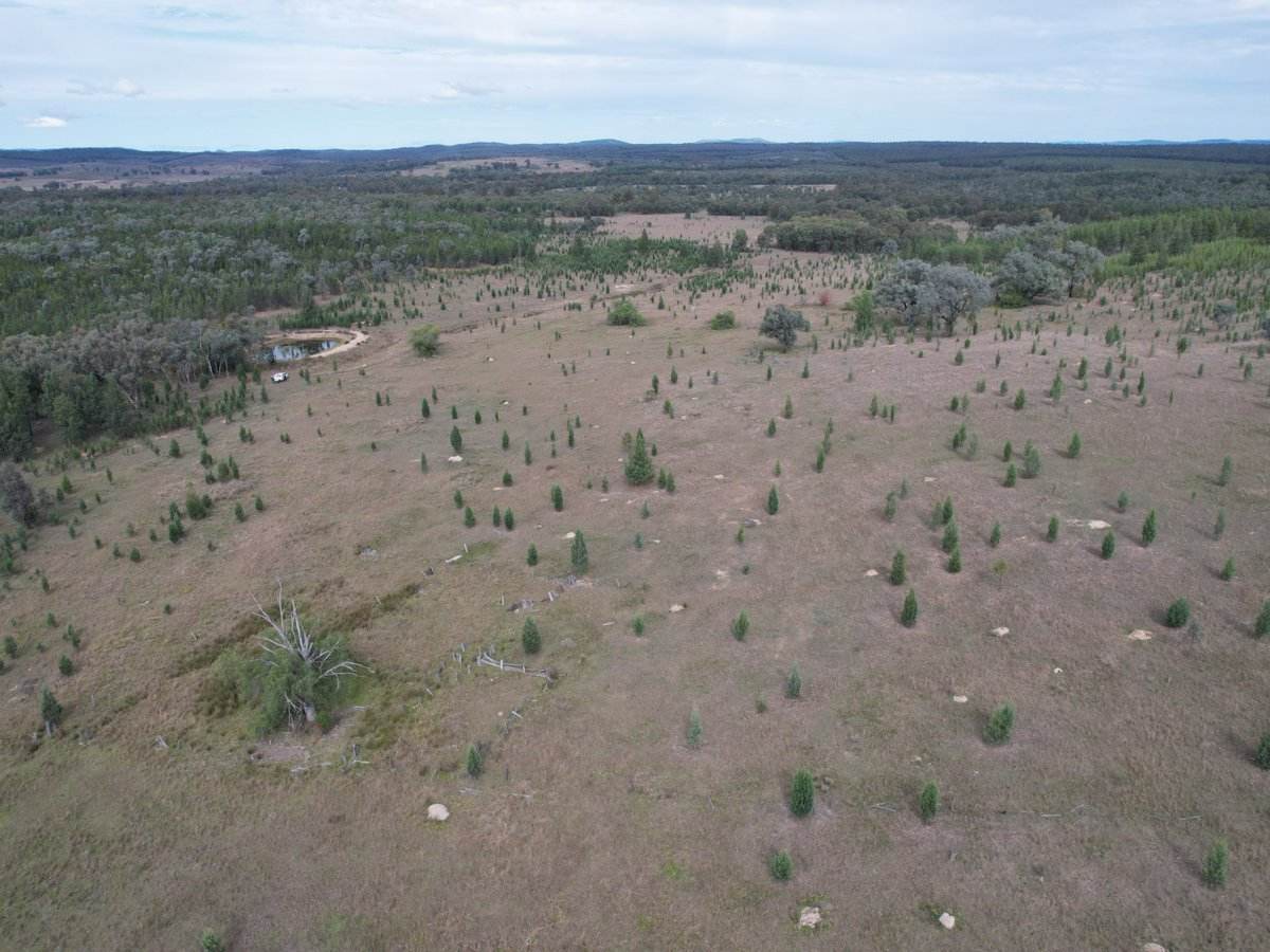 Lot 27 Tin Hut Road, Inglewood For Sale by Farmbuy.com - image 1