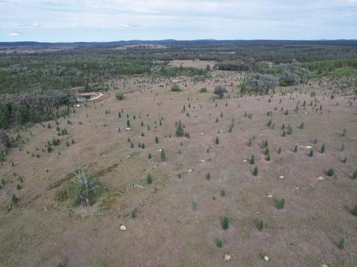 Farm For Sale - QLD - Inglewood - 4387 - 