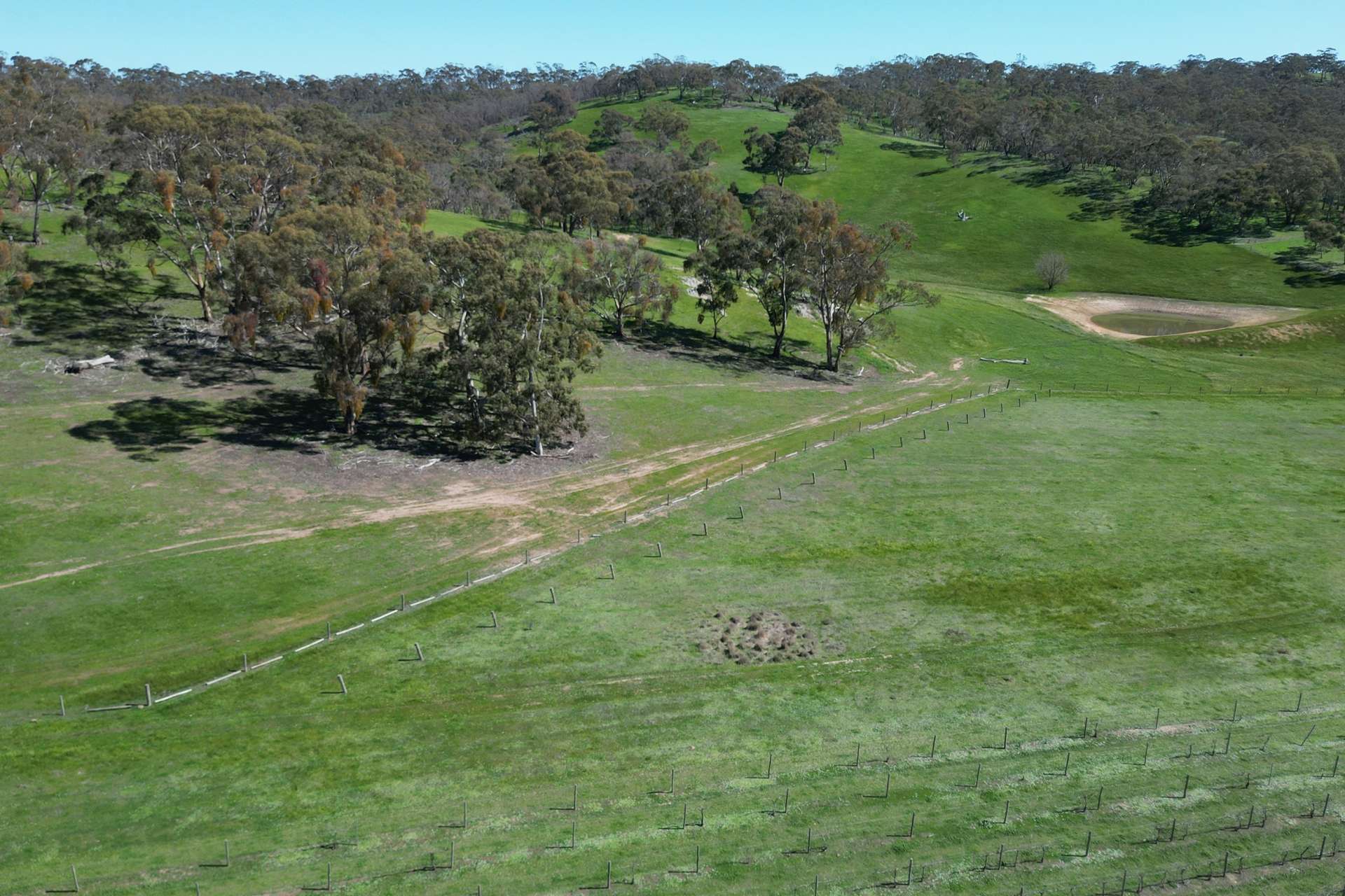 Lot 388 McCord Lane, Gillentown For Sale by Farmbuy.com - image 4