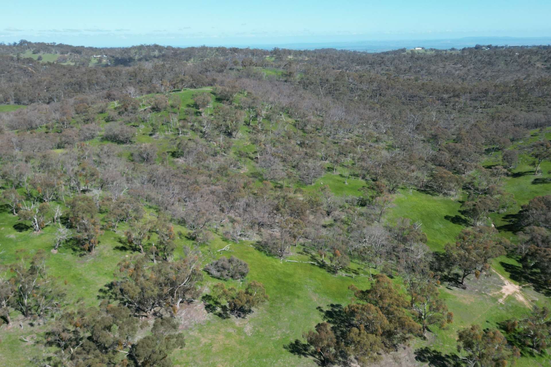 Lot 388 McCord Lane, Gillentown For Sale by Farmbuy.com - image 7