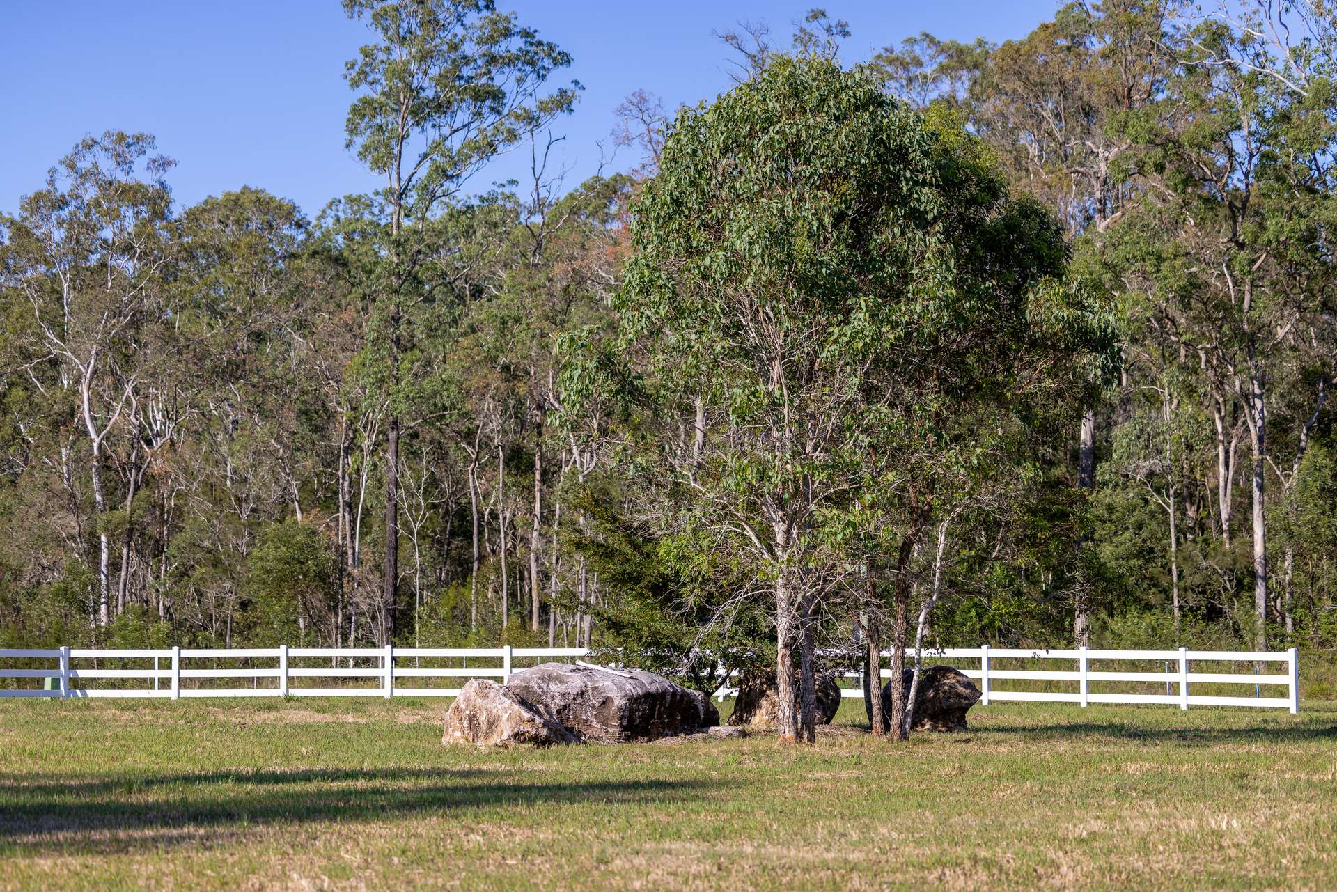 7 Jaydee Chase, Taree For Sale by Farmbuy.com - image 7