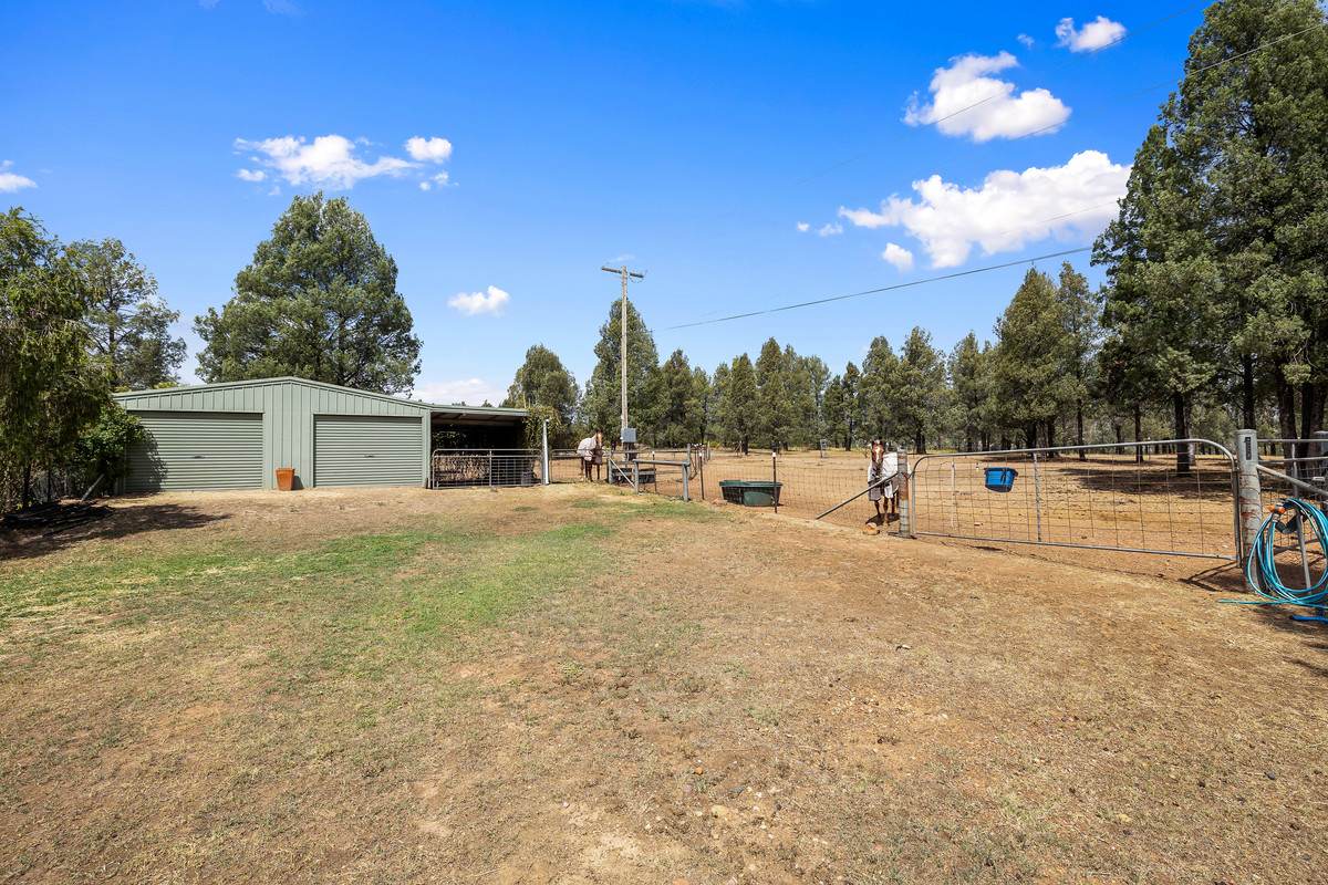 38 Evans Road, Gunnedah Sold by Farmbuy.com - image 17