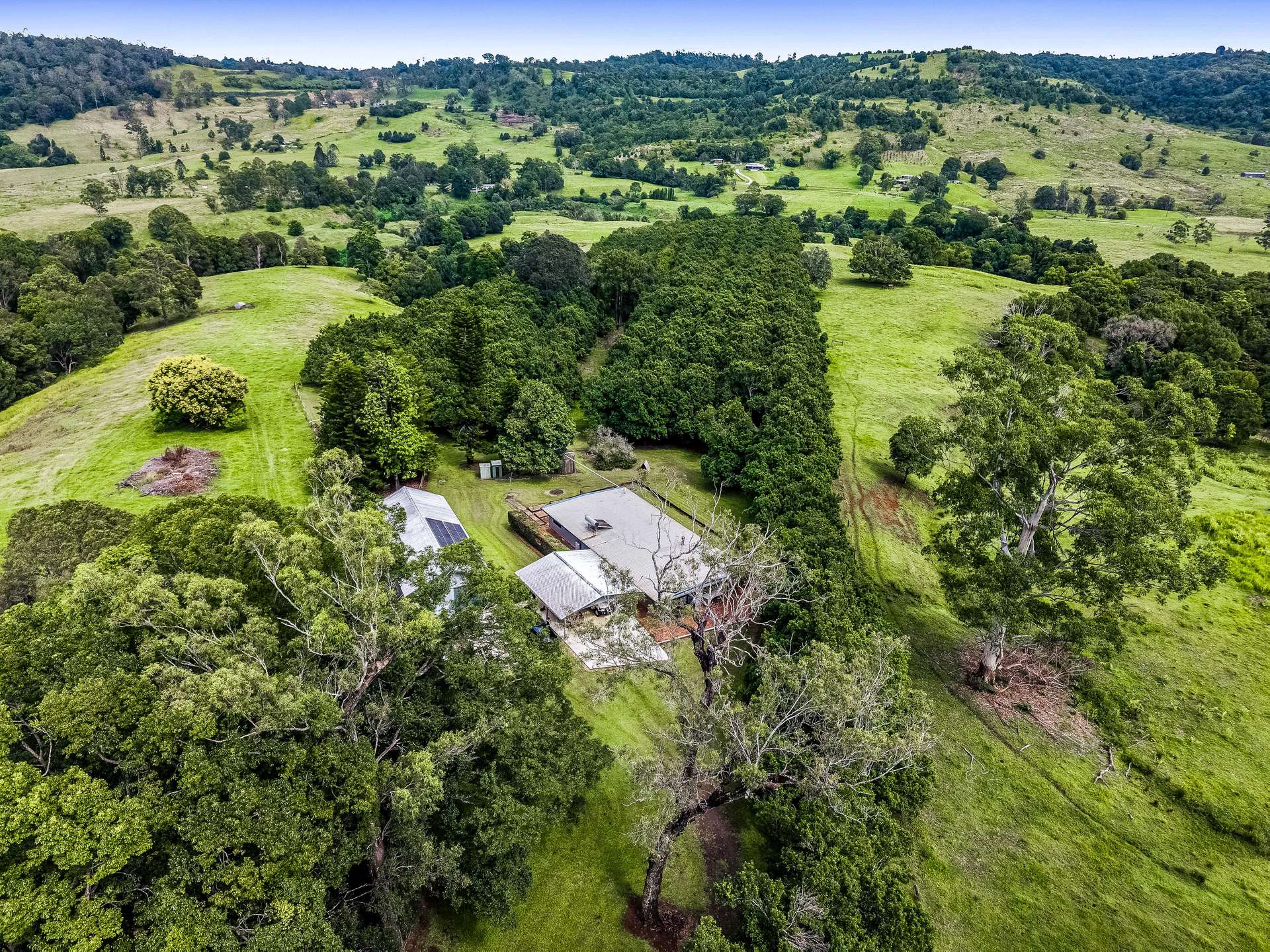 1213 Keerrong Road, Keerrong For Sale by Farmbuy.com - image 23