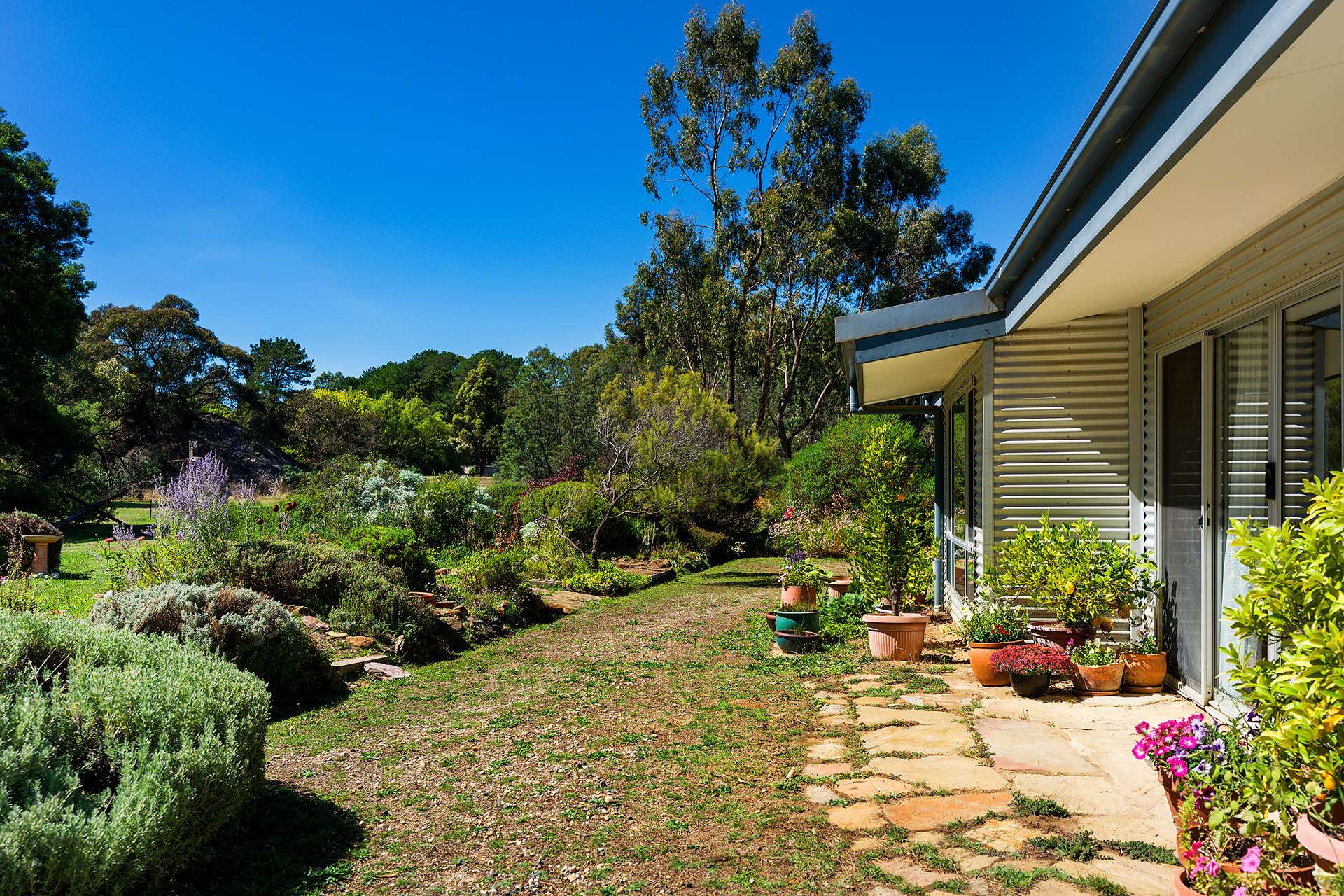 24 High Street, Fryerstown For Sale by Farmbuy.com - image 7