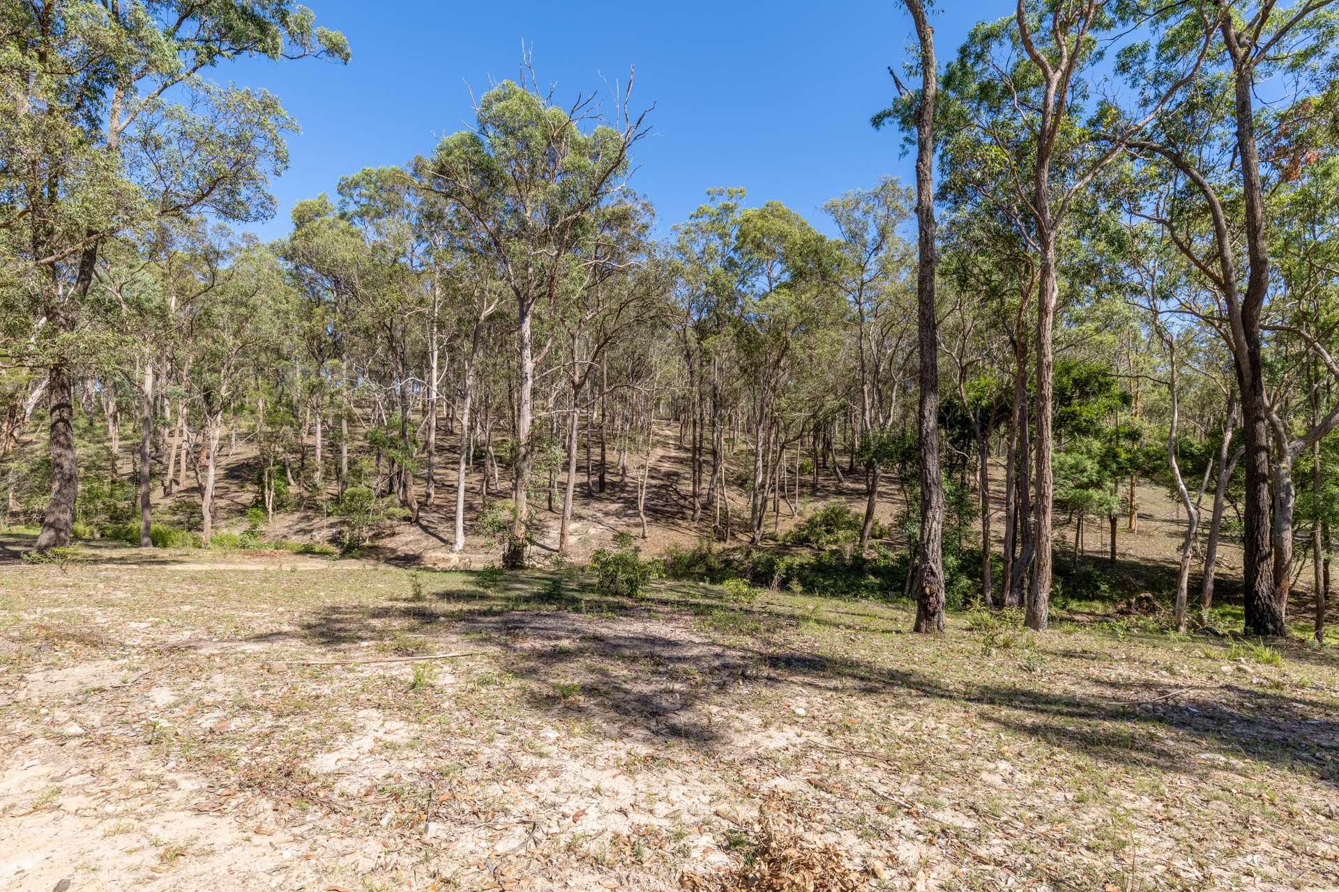 93 Glen William Road, Clarence Town Sold by Farmbuy.com - image 17