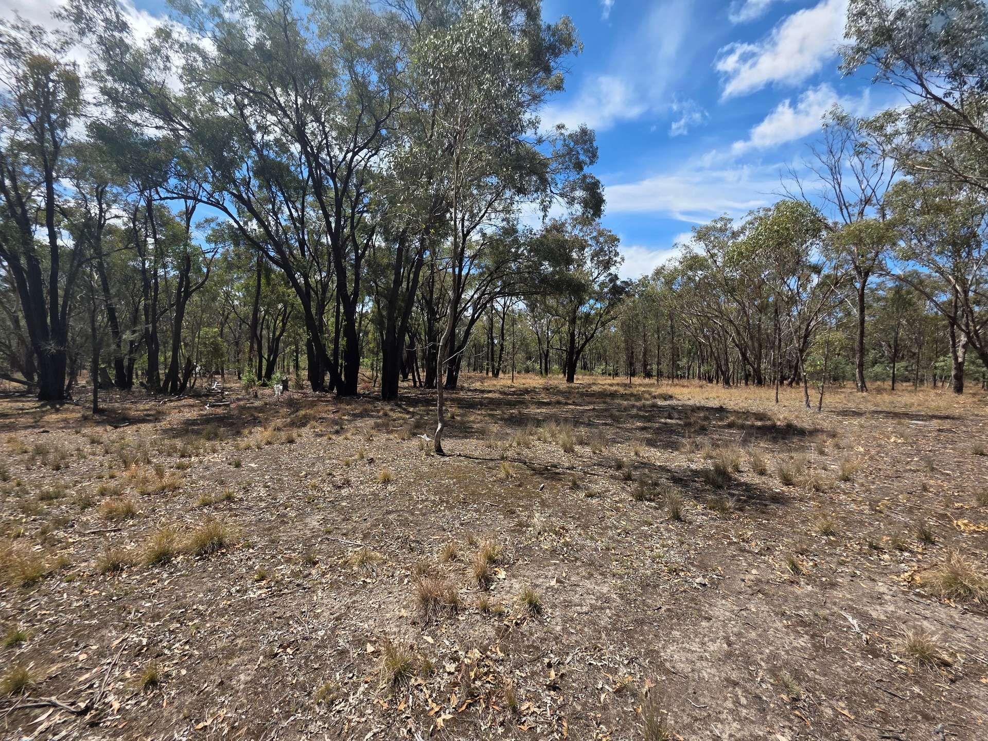 44 Foxbar Road, Pikedale For Sale by Farmbuy.com - image 13