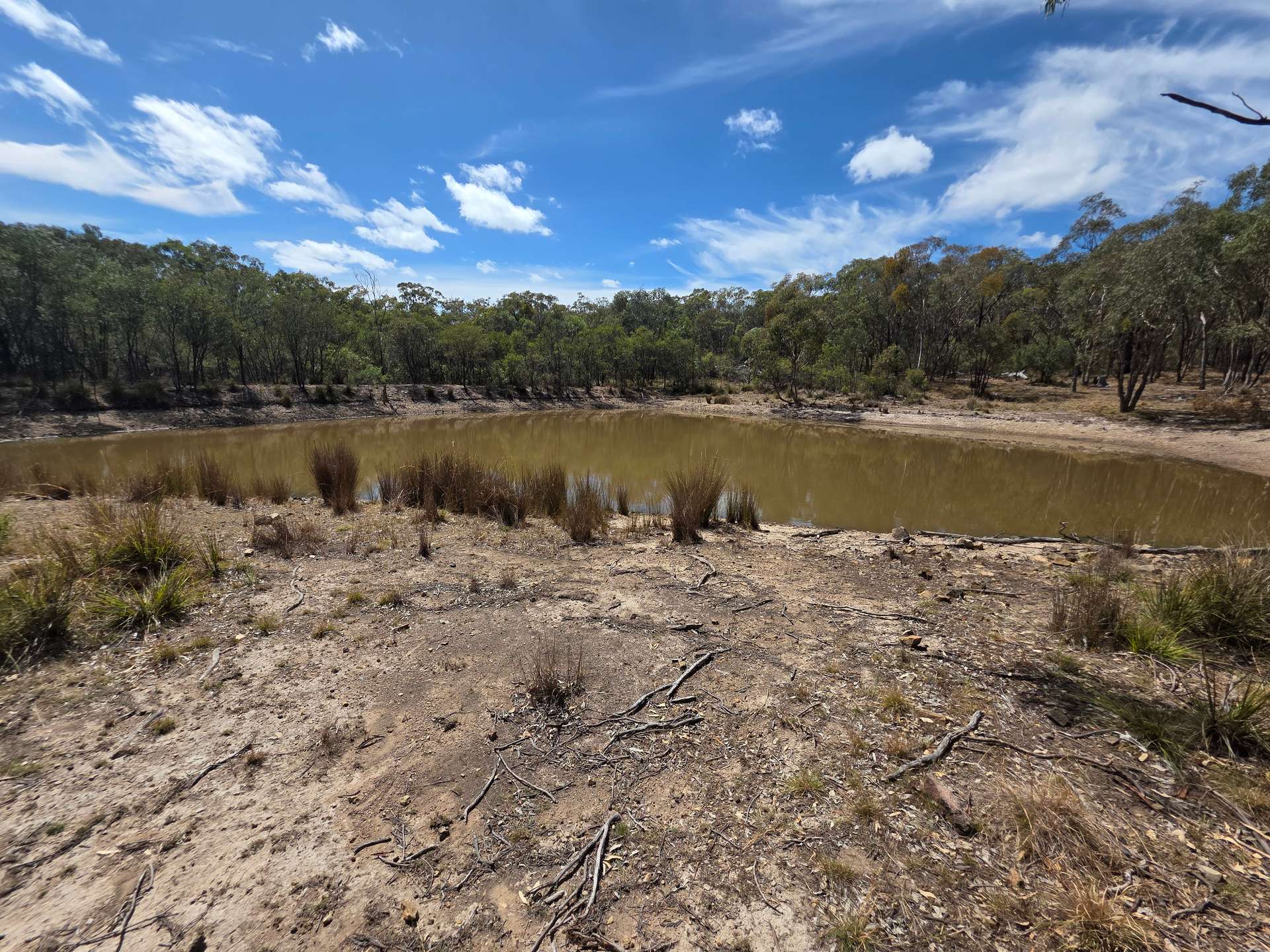 44 Foxbar Road, Pikedale For Sale by Farmbuy.com - image 1