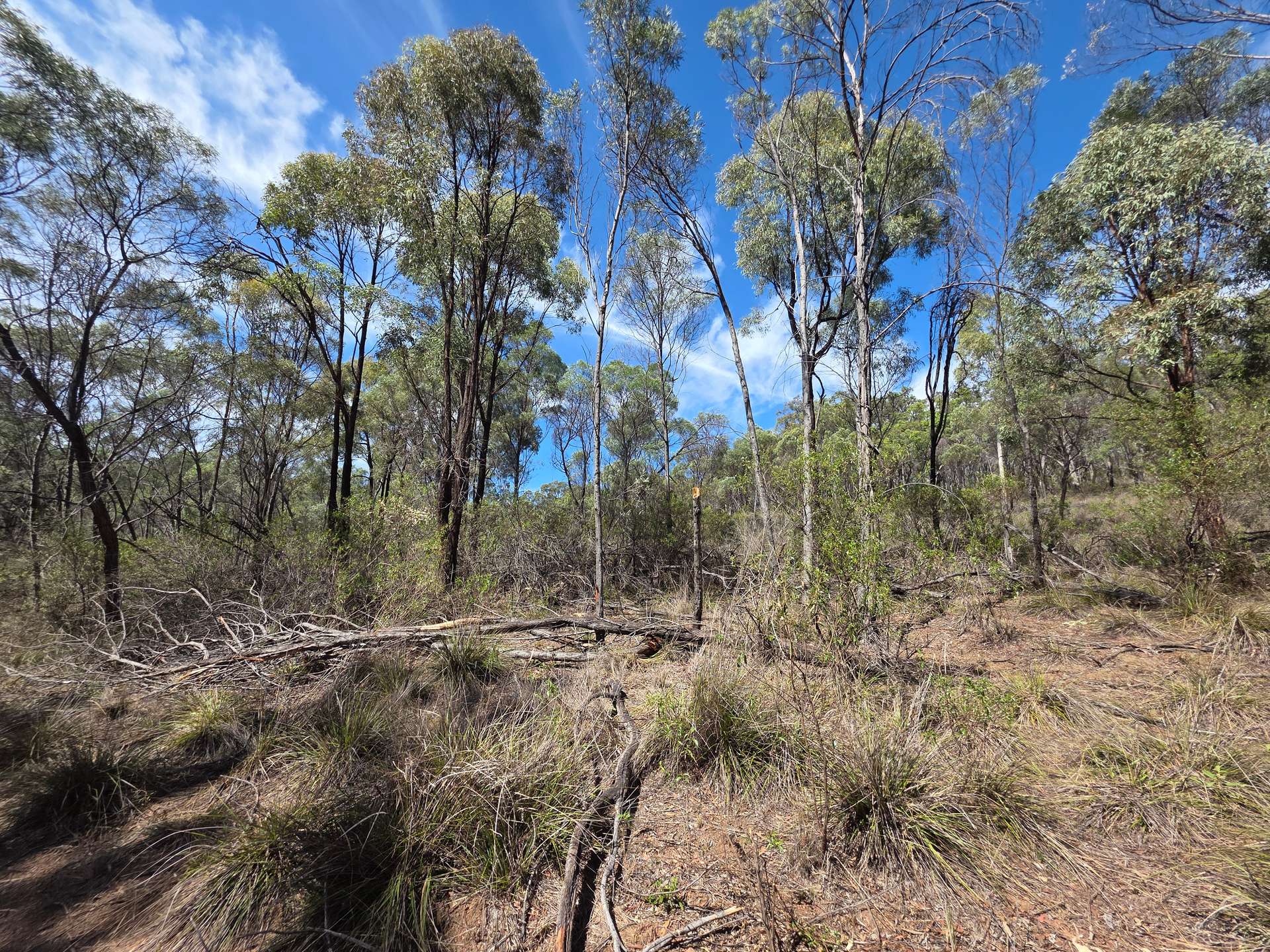 44 Foxbar Road, Pikedale For Sale by Farmbuy.com - image 6