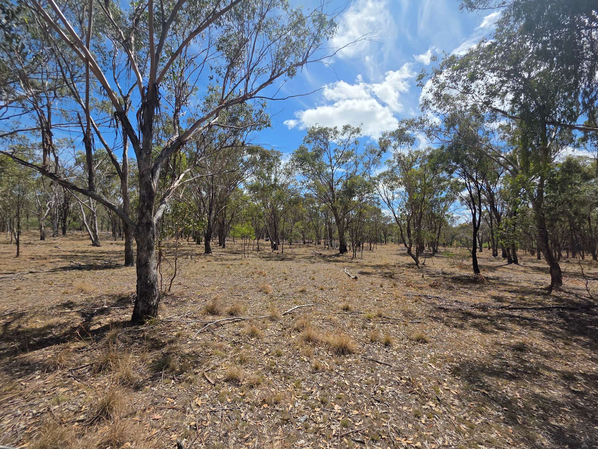 44 Foxbar Road, Pikedale For Sale by Farmbuy.com - image 2