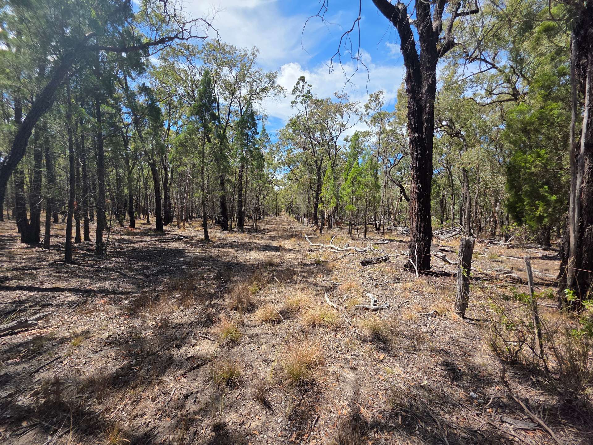 44 Foxbar Road, Pikedale For Sale by Farmbuy.com - image 10