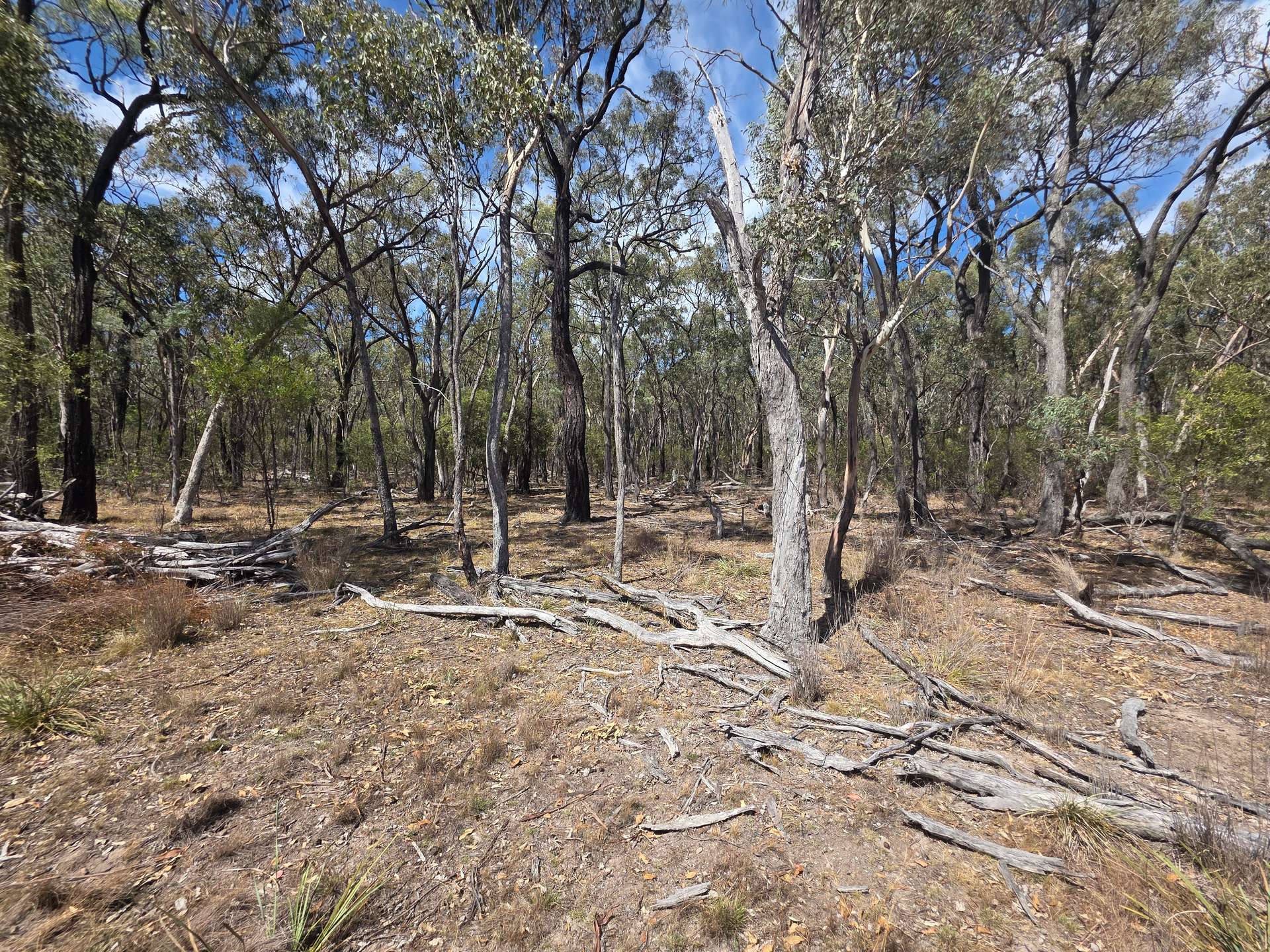 44 Foxbar Road, Pikedale For Sale by Farmbuy.com - image 7