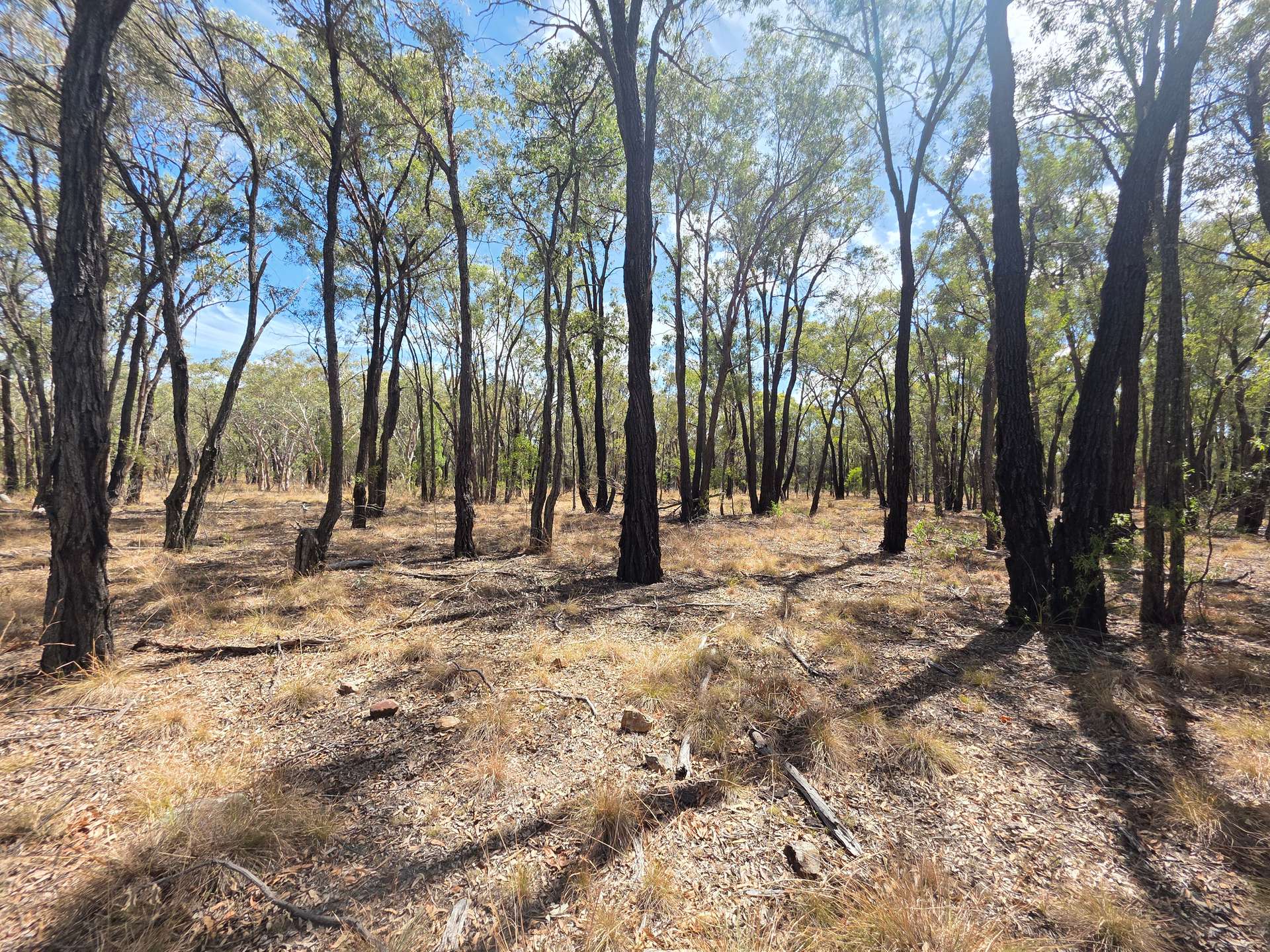 44 Foxbar Road, Pikedale For Sale by Farmbuy.com - image 12