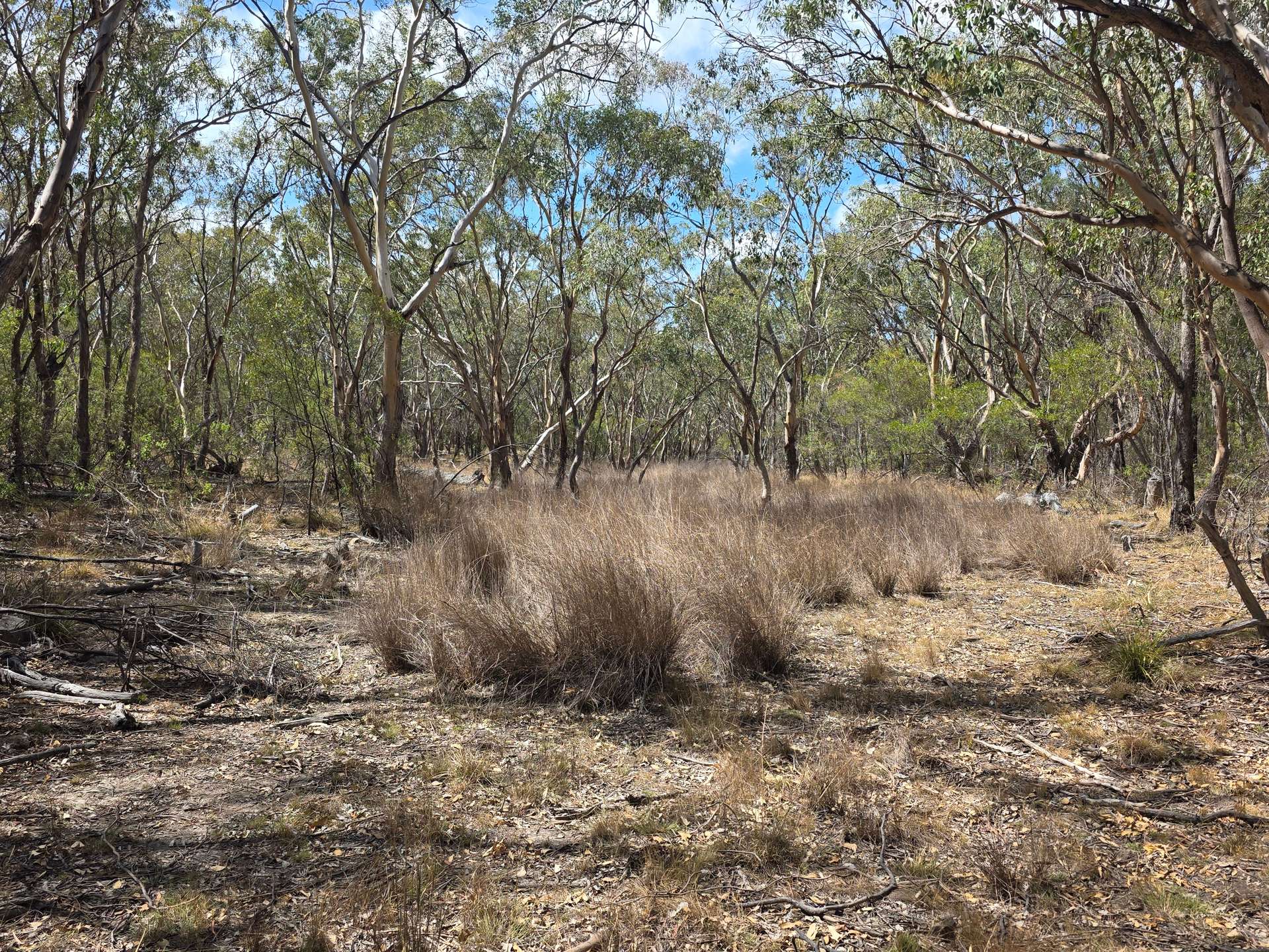 44 Foxbar Road, Pikedale For Sale by Farmbuy.com - image 8