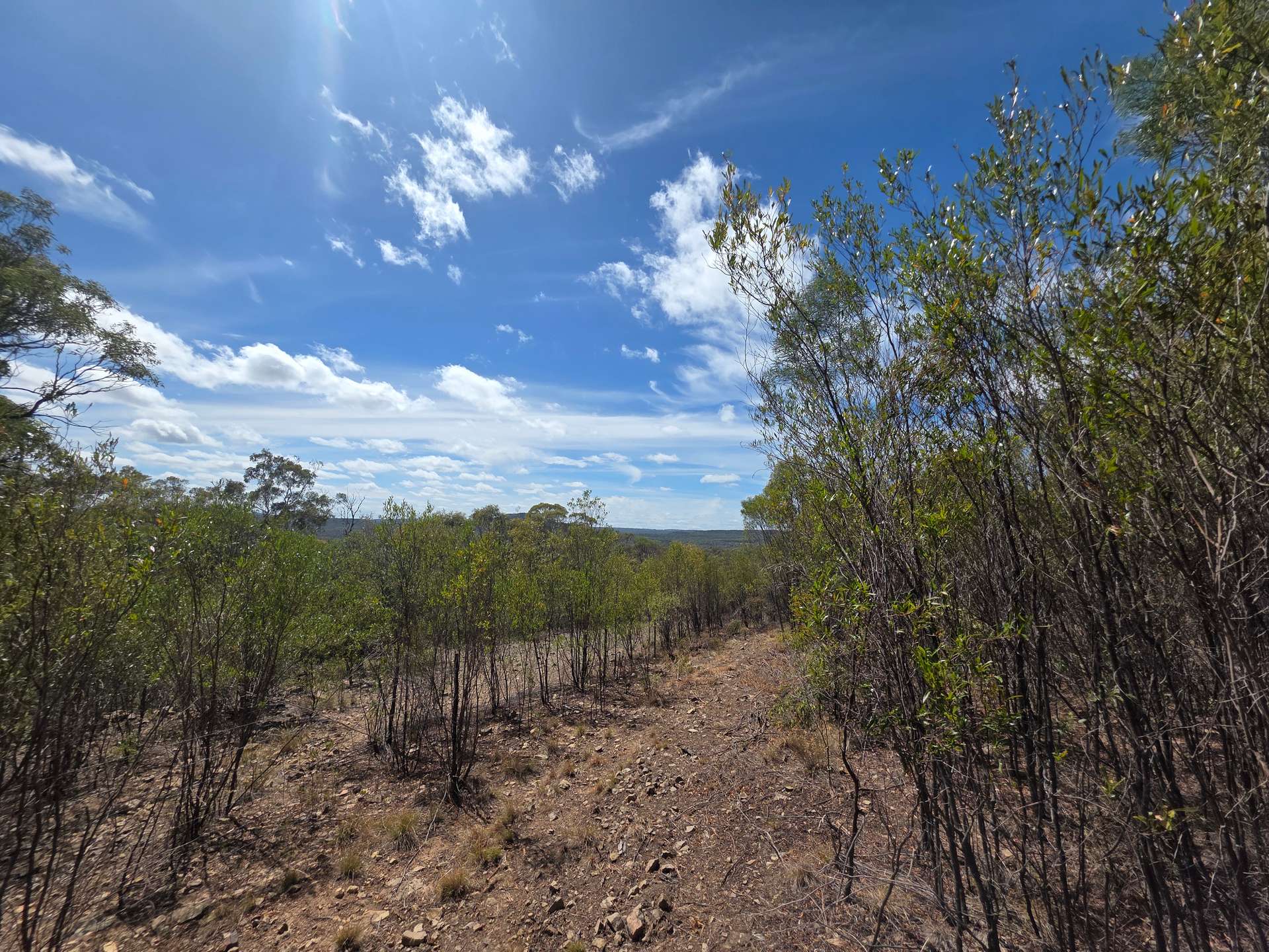 44 Foxbar Road, Pikedale For Sale by Farmbuy.com - image 3
