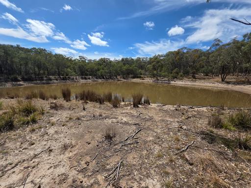 44 Foxbar Road, Pikedale QLD 4380