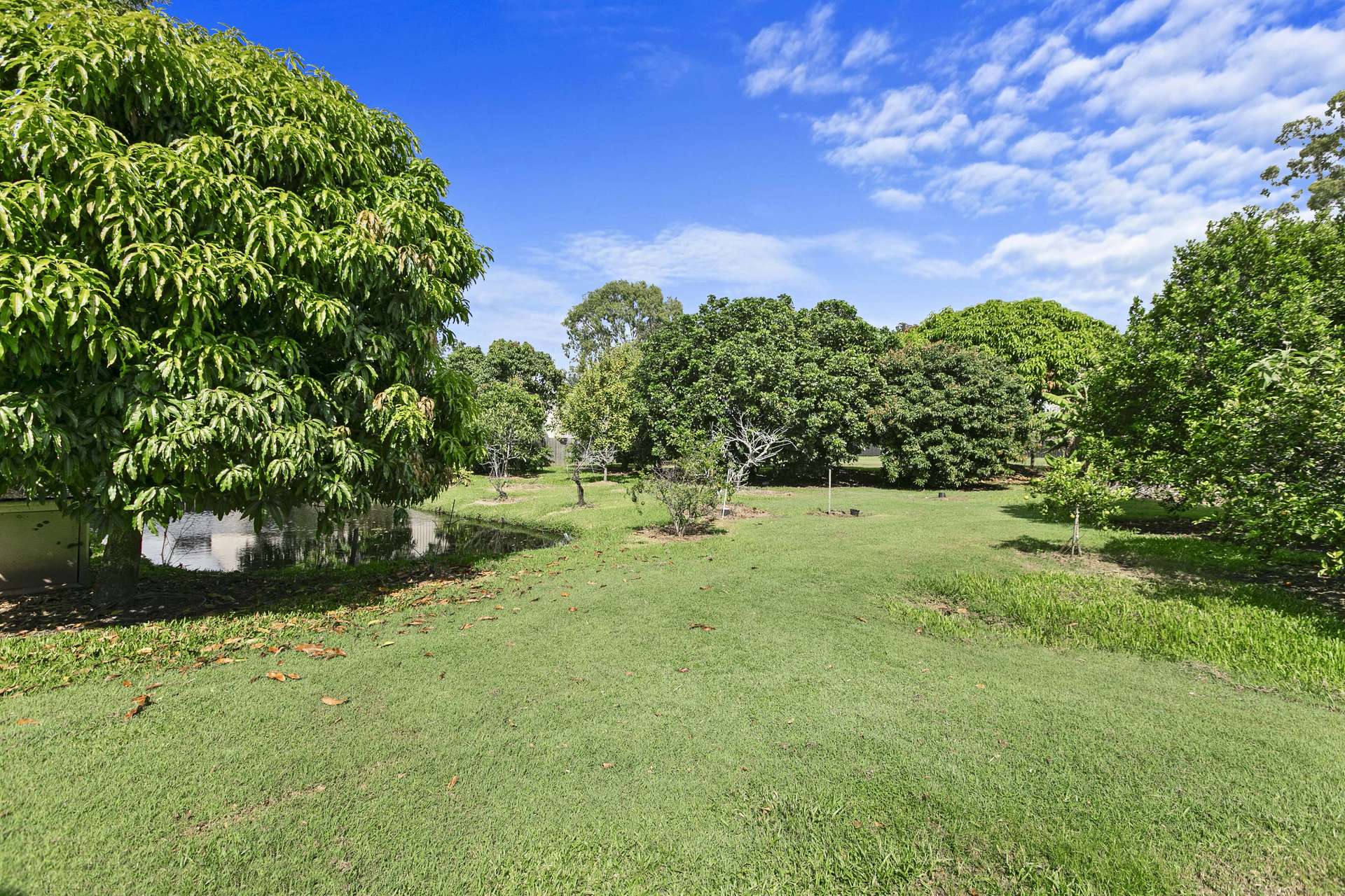 10 Squire Street, Kawungan Sold by Farmbuy.com - image 25