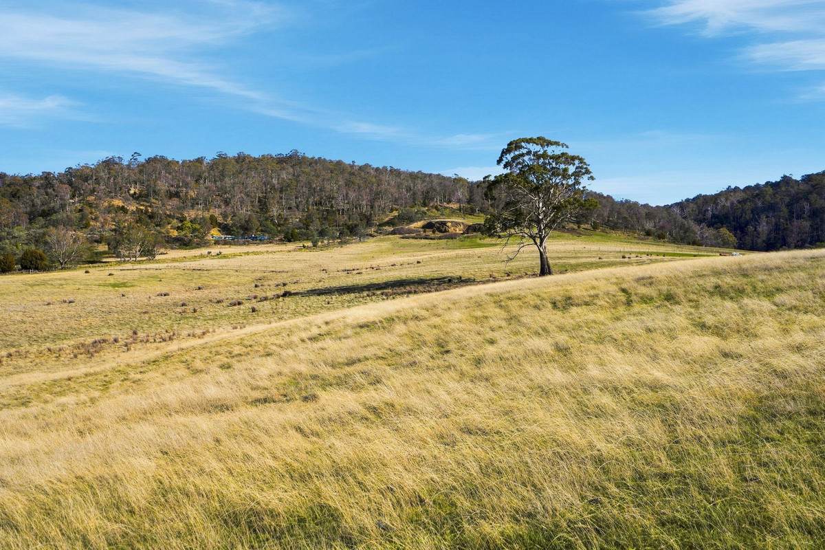 44 Huntingdon Tier Road, Dysart For Sale by Farmbuy.com - image 33