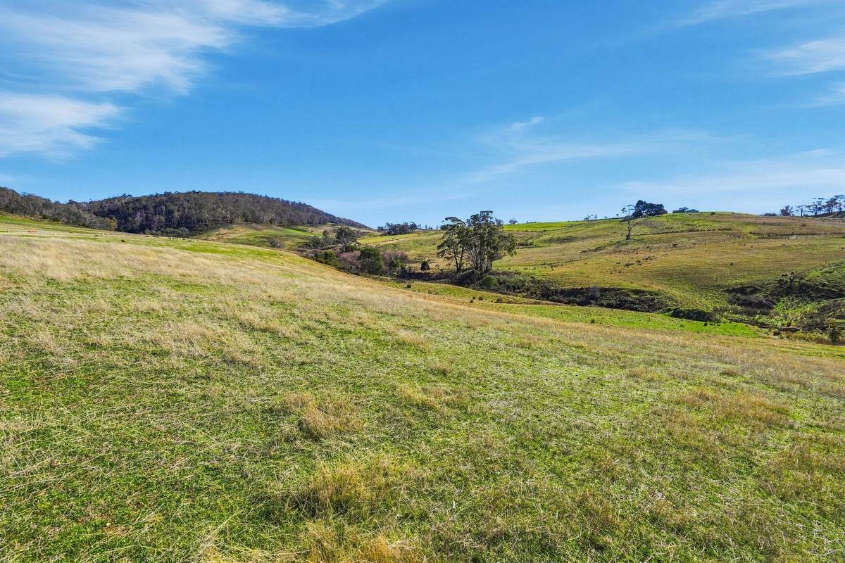 44 Huntingdon Tier Road, Dysart For Sale by Farmbuy.com - image 30