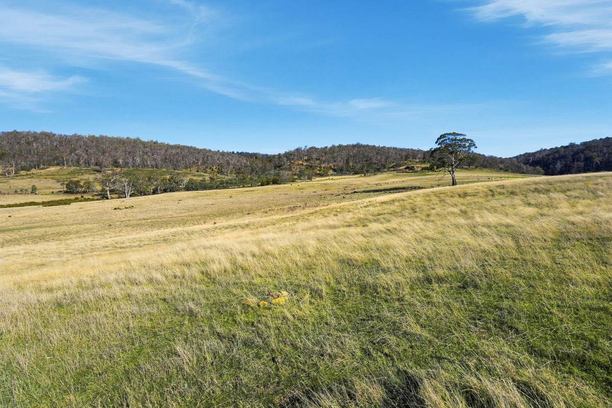 44 Huntingdon Tier Road, Dysart For Sale by Farmbuy.com - image 29