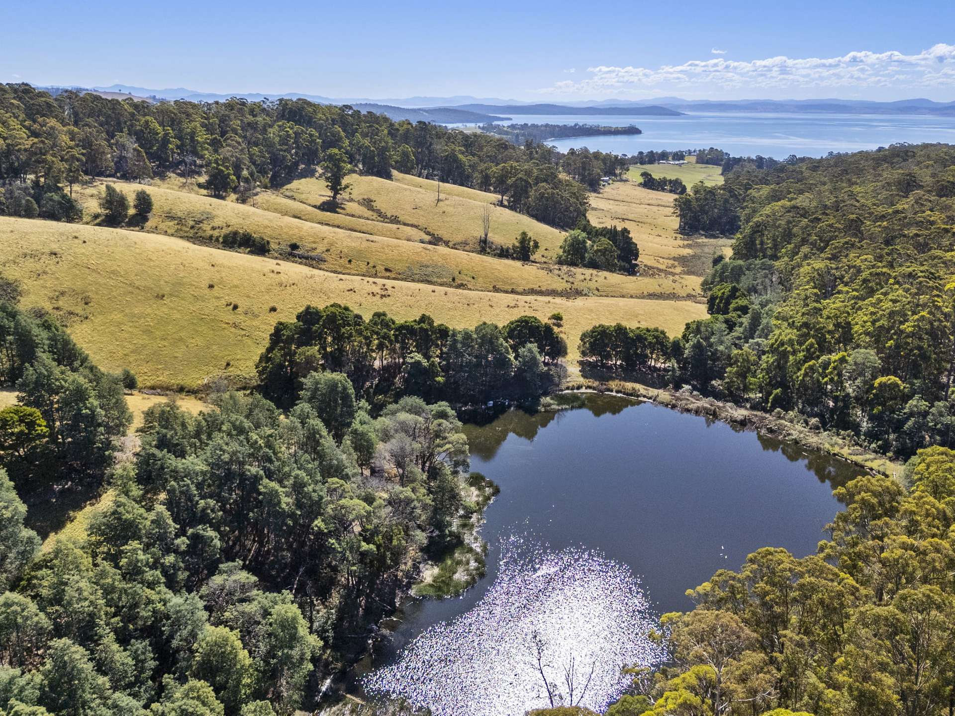 729 Nubeena Road And 44 Coppings Road, Premaydena For Sale by Farmbuy.com - image 2