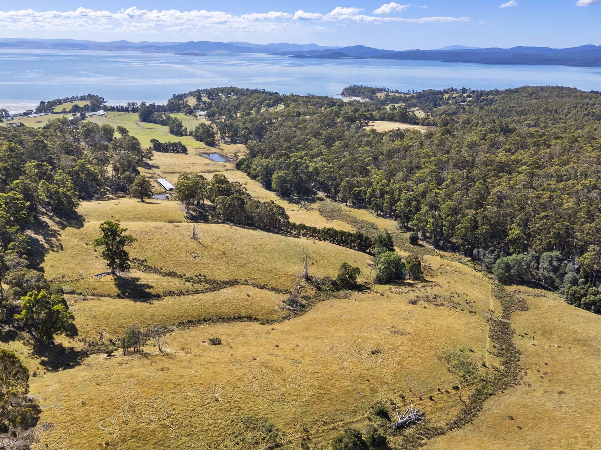 729 Nubeena Road And 44 Coppings Road, Premaydena For Sale by Farmbuy.com - image 5