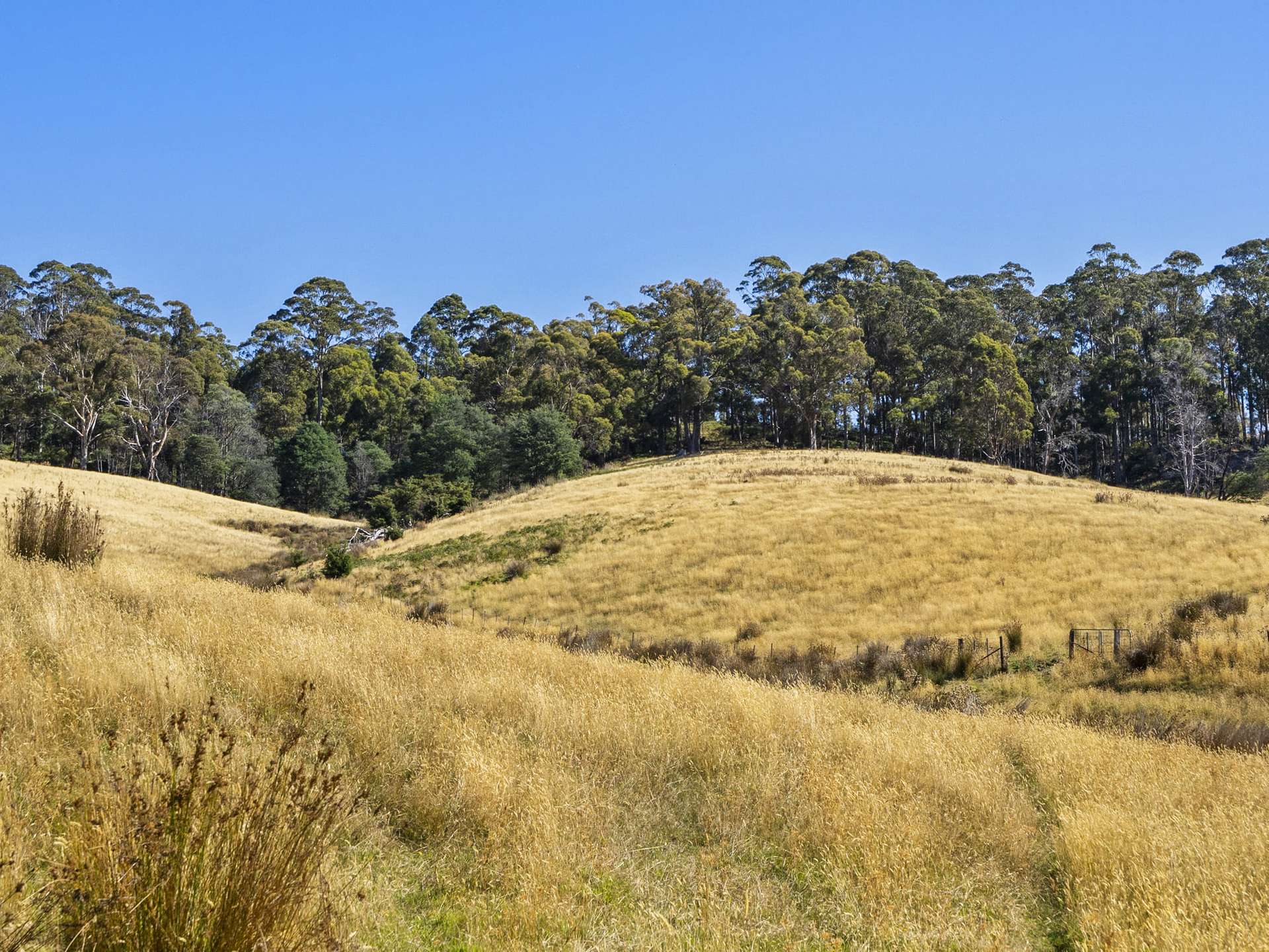 729 Nubeena Road And 44 Coppings Road, Premaydena For Sale by Farmbuy.com - image 12