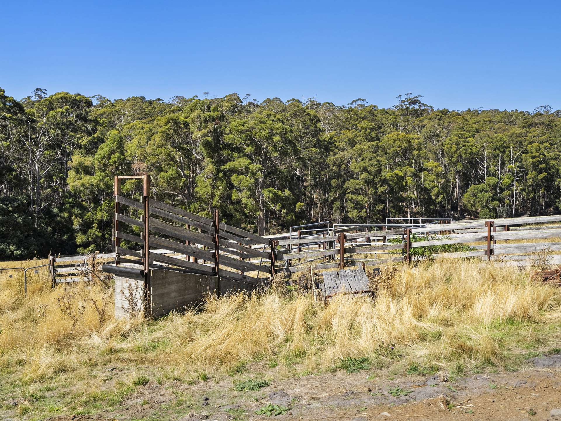 729 Nubeena Road And 44 Coppings Road, Premaydena For Sale by Farmbuy.com - image 10