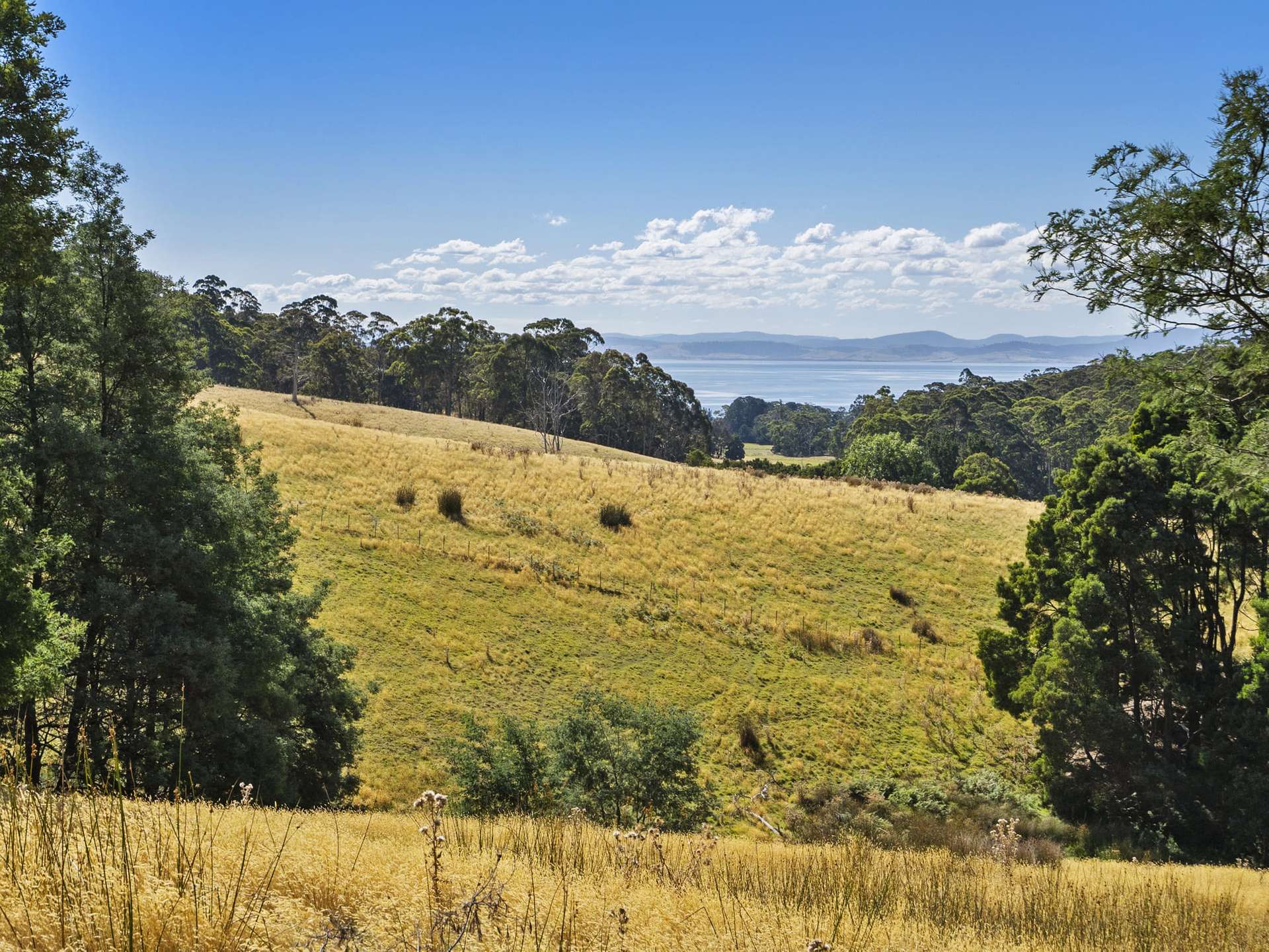 729 Nubeena Road And 44 Coppings Road, Premaydena For Sale by Farmbuy.com - image 3