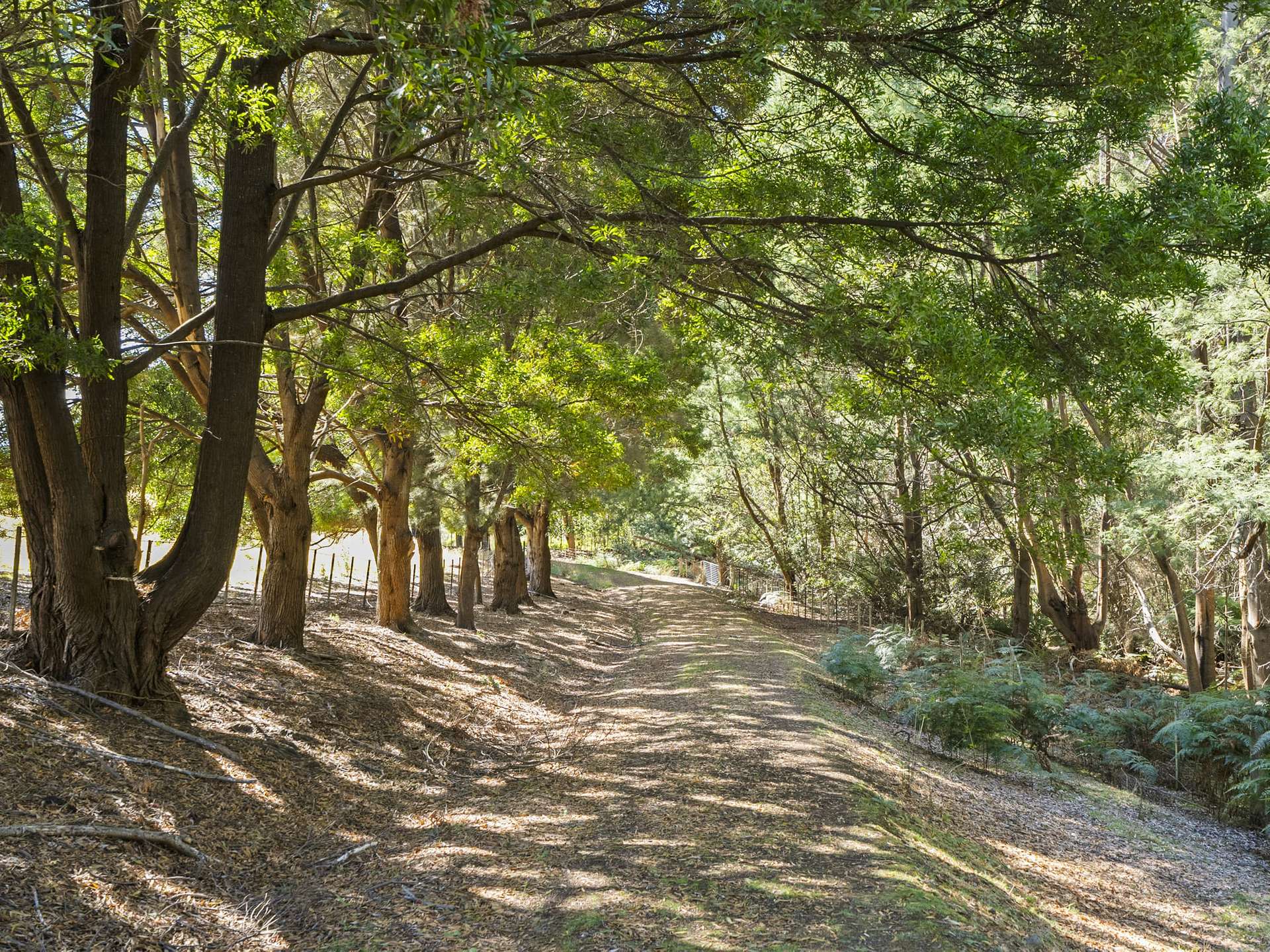 729 Nubeena Road And 44 Coppings Road, Premaydena For Sale by Farmbuy.com - image 7