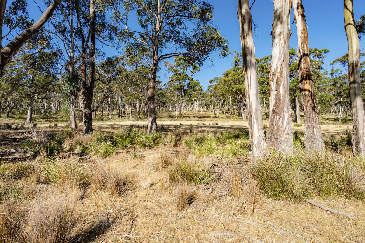 4 D'Entrecasteaux Drive, North Bruny For Sale by Farmbuy.com - image 11