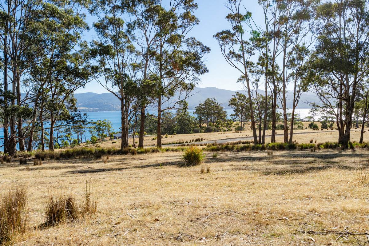 4 D'Entrecasteaux Drive, North Bruny For Sale by Farmbuy.com - image 15