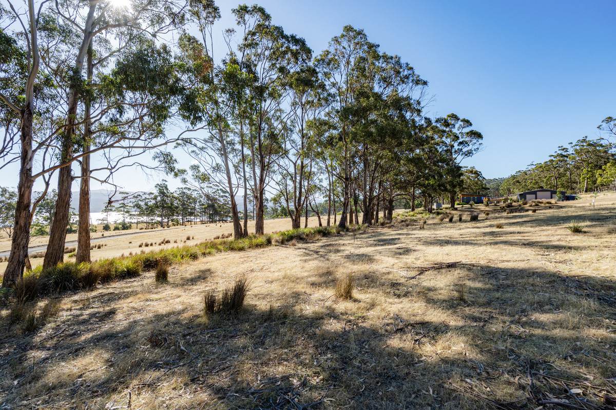 4 D'Entrecasteaux Drive, North Bruny For Sale by Farmbuy.com - image 16