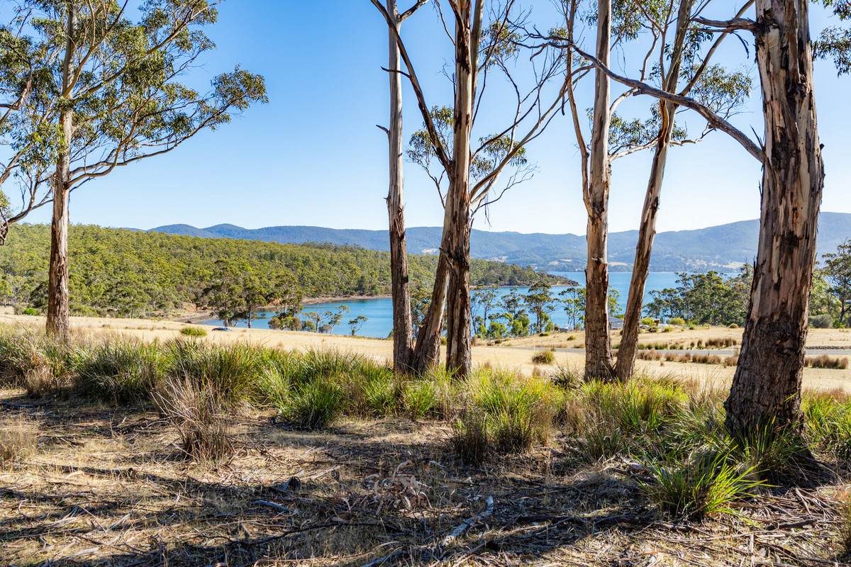 4 D'Entrecasteaux Drive, North Bruny For Sale by Farmbuy.com - image 12