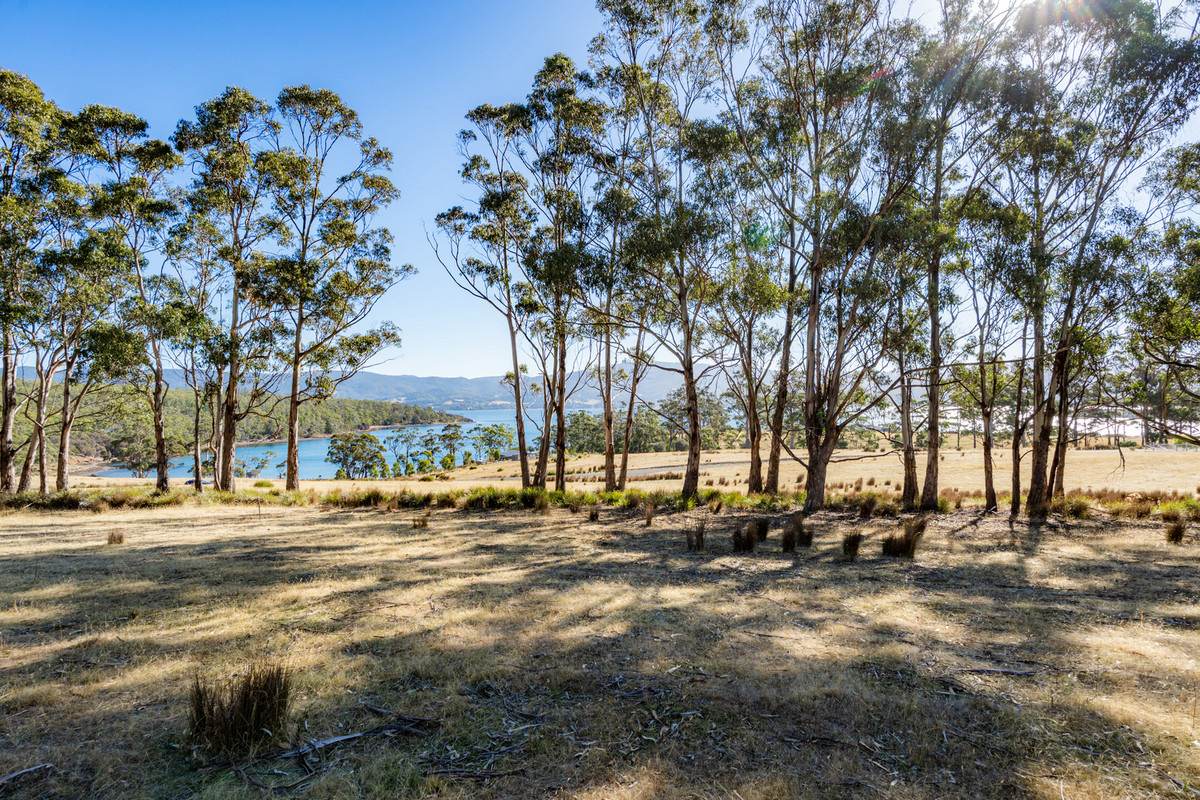 4 D'Entrecasteaux Drive, North Bruny For Sale by Farmbuy.com - image 13